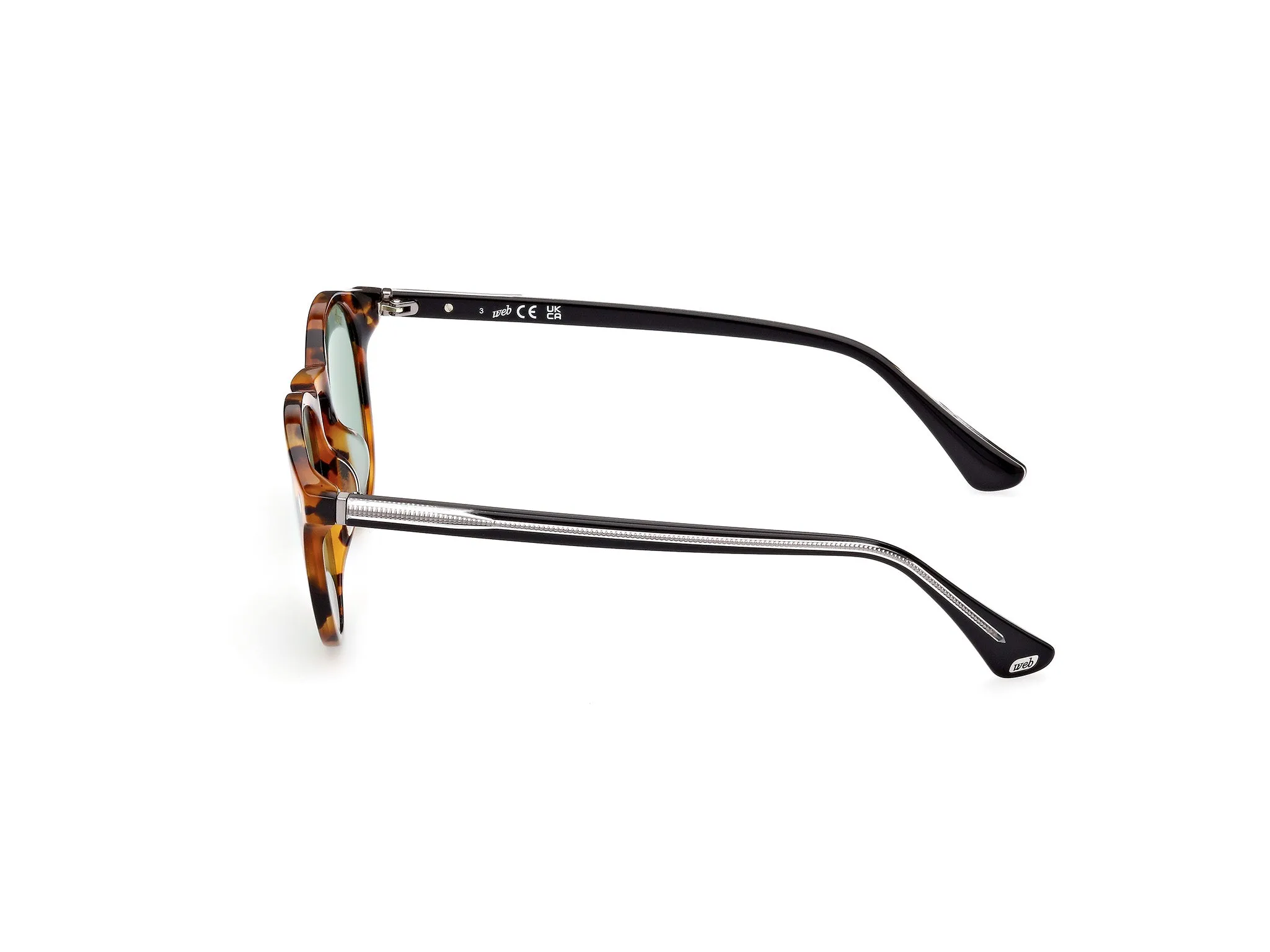 Web WE0328 56N Occhiali da sole Acetato Havana Verde Rotonda Normale - immagine 3
