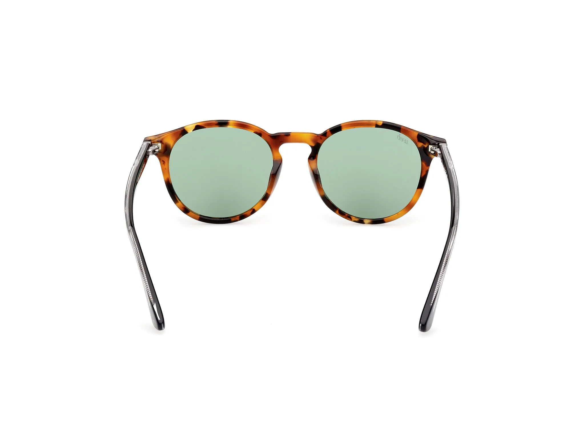 Web WE0328 56N Occhiali da sole Acetato Havana Verde Rotonda Normale - immagine 4