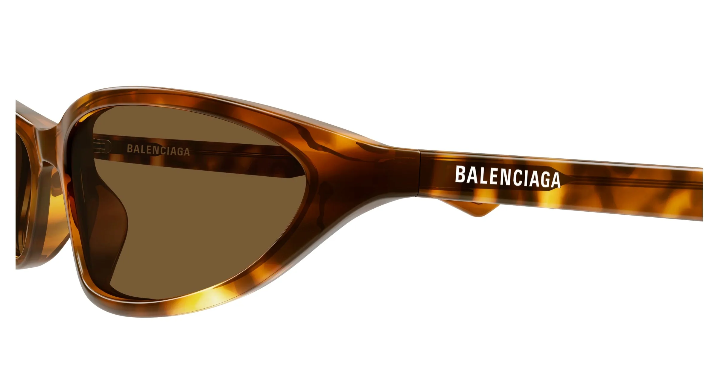 Balenciaga BB0402S 003 Occhiali da sole Acetato Havana Marrone Rotonda - immagine 3