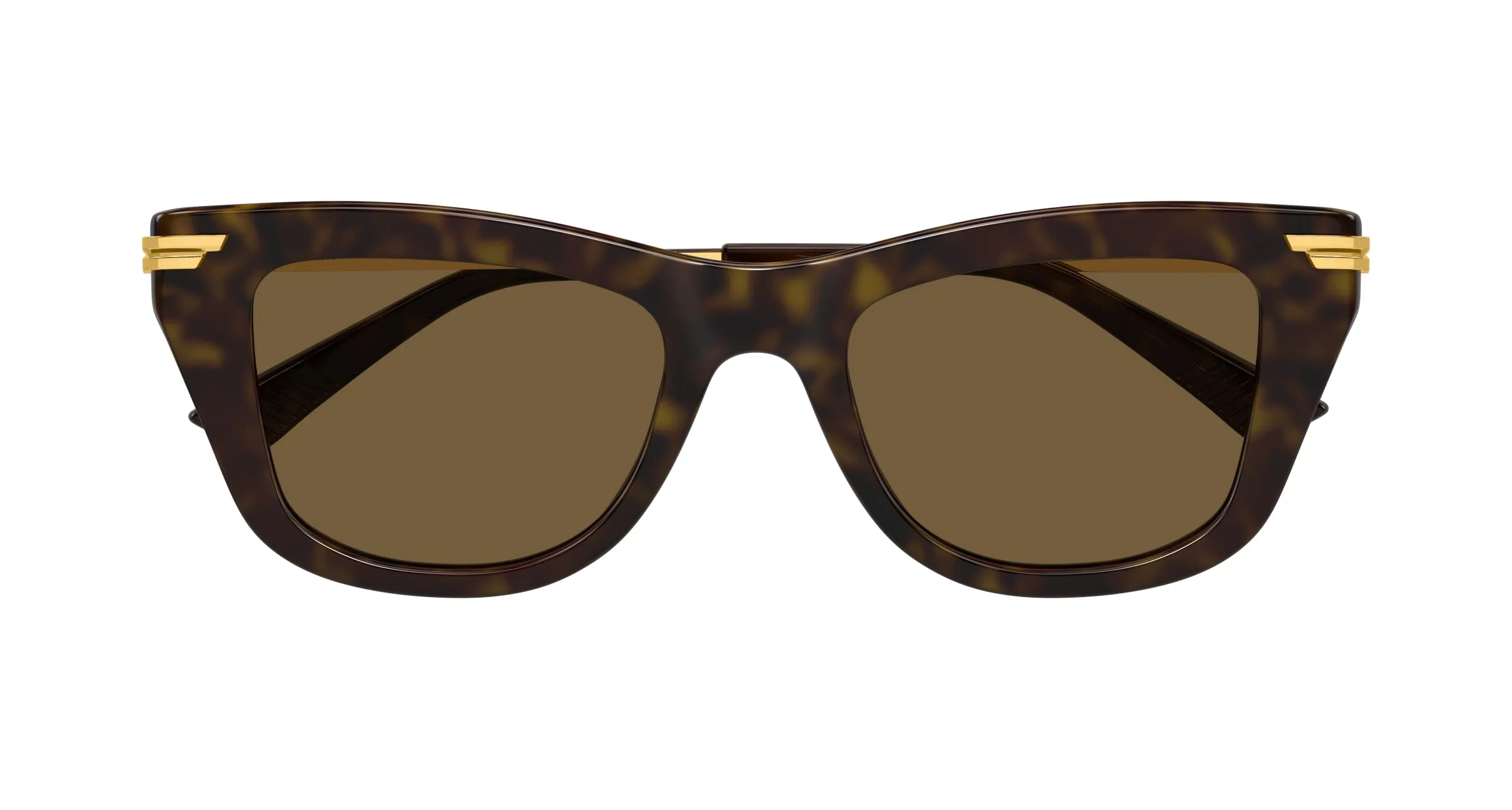 Bottega Veneta BV1369S 002 Occhiali da sole Acetato Havana Marrone Squadrata - immagine 2