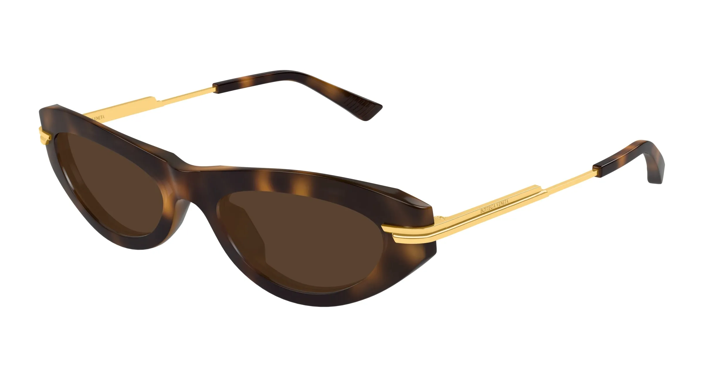 Bottega Veneta BV1368S 002 Occhiali da sole Acetato Havana Marrone Rotonda - immagine 1