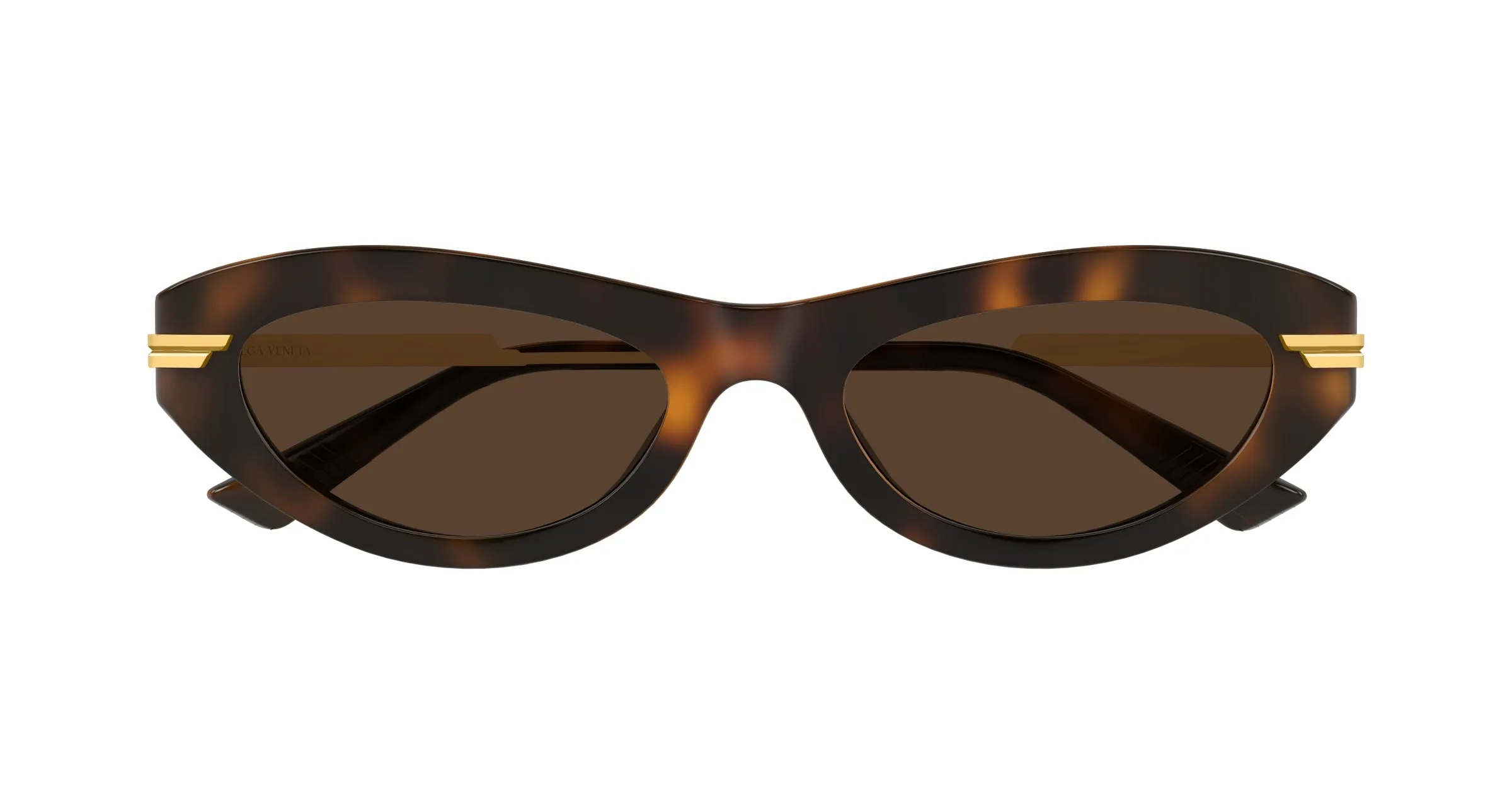 Bottega Veneta BV1368S 002 Occhiali da sole Acetato Havana Marrone Rotonda - immagine 2
