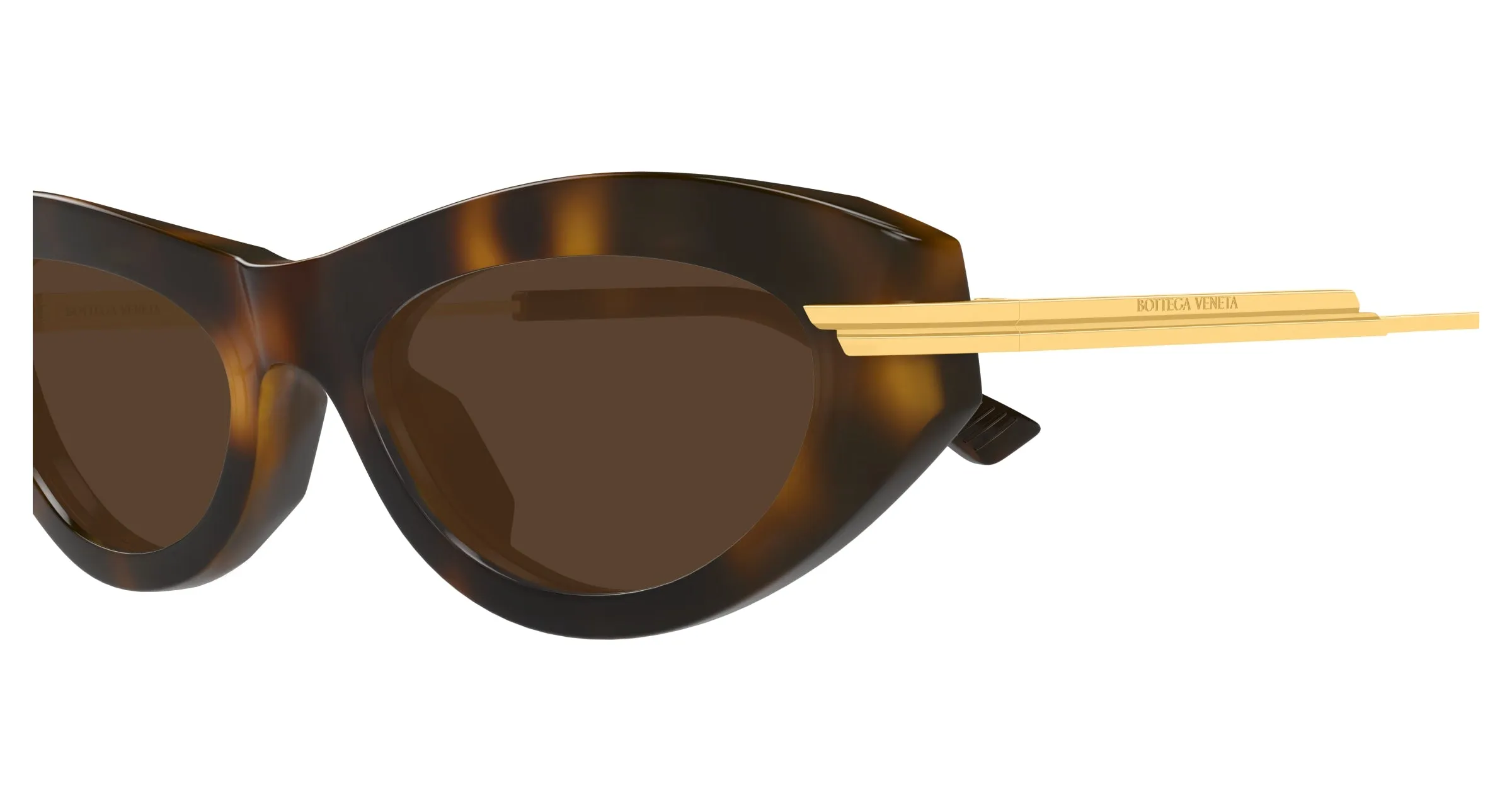 Bottega Veneta BV1368S 002 Occhiali da sole Acetato Havana Marrone Rotonda - immagine 3