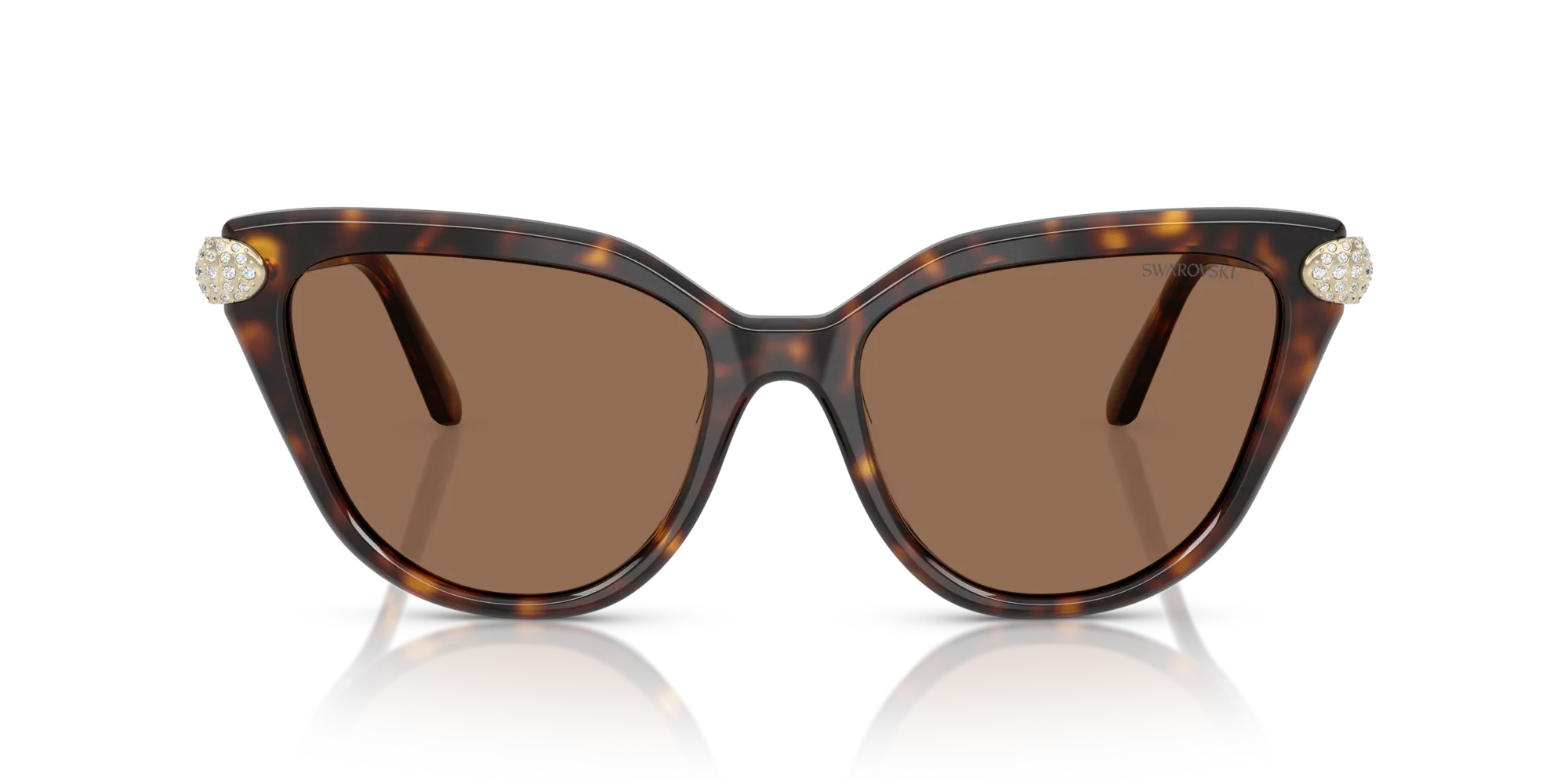 Swarovski SK6039 100273 Occhiali da sole Acetato Tartaruga Marrone Cat Eye Normale - immagine 3