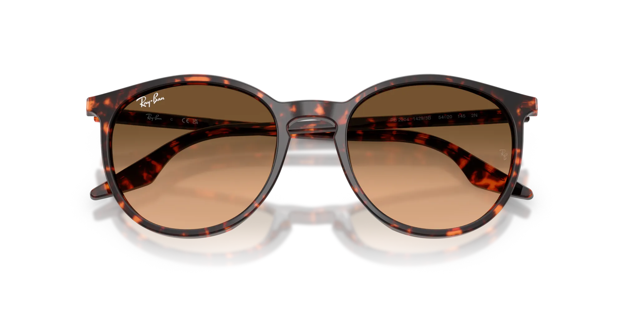 Ray - Ban RB2204 14293B Occhiali da sole Acetato Rosso Pantos Normale Sfumato - immagine 2