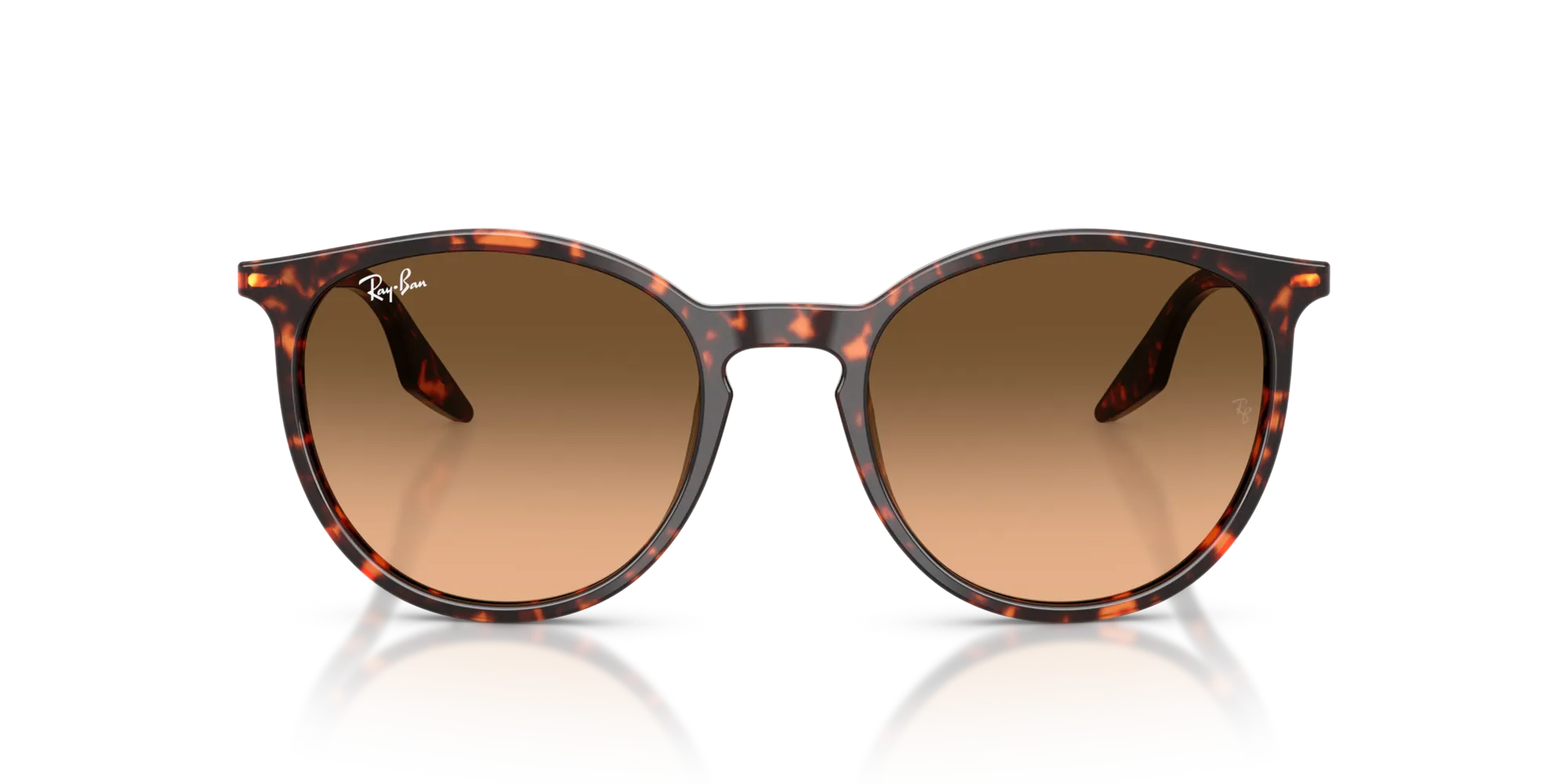 Ray - Ban RB2204 14293B Occhiali da sole Acetato Rosso Pantos Normale Sfumato - immagine 3