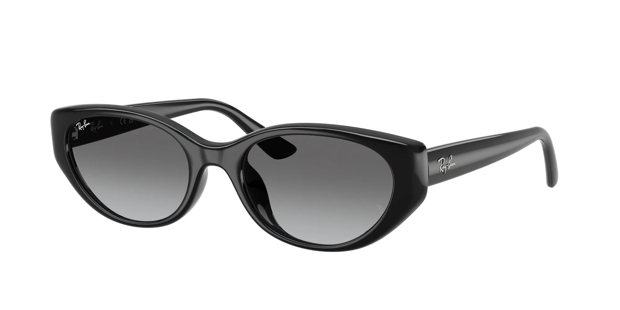 Ray - Ban RB4457D 667711 Occhiali da sole Iniettato Nero Grigio Pillow Normale Sfumato - immagine 1