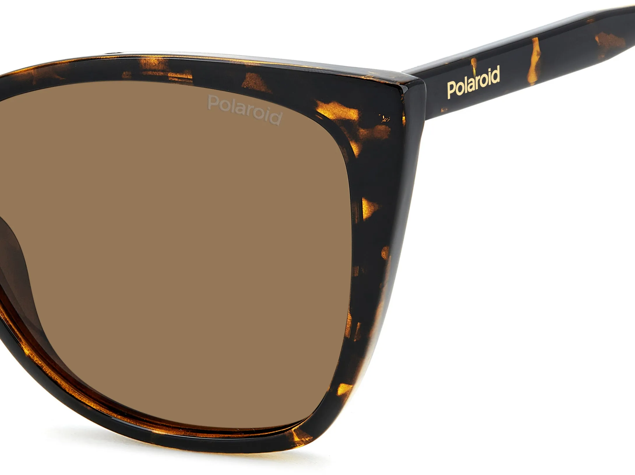 Polaroid PLD 4181/S 086/SP Occhiali da sole Policarbonato Havana Marrone Squadrata Polarizzata - immagine 4
