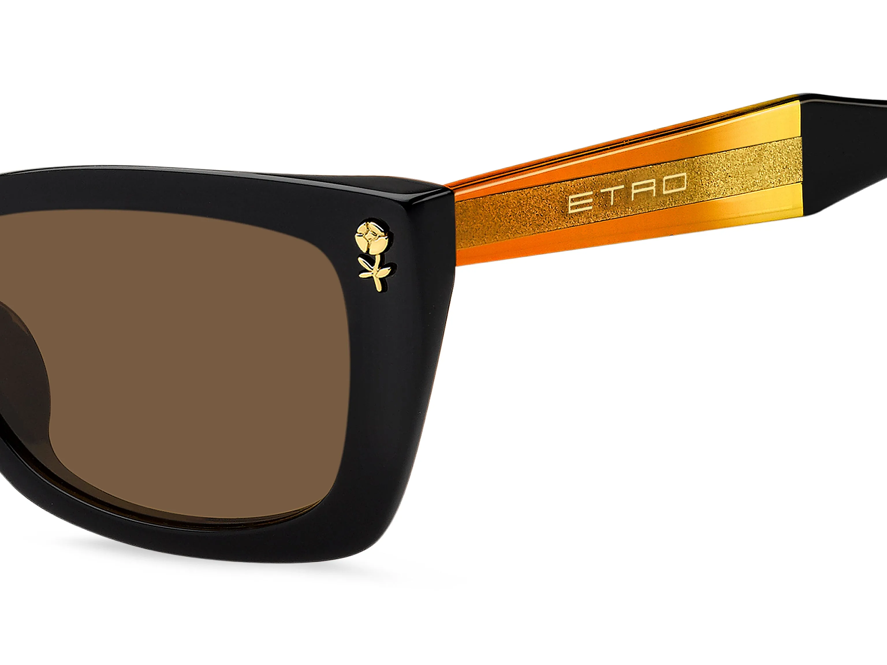 ETRO ETRO ETRO 0092/F/S 807/70 Occhiali da sole Marrone - immagine 3