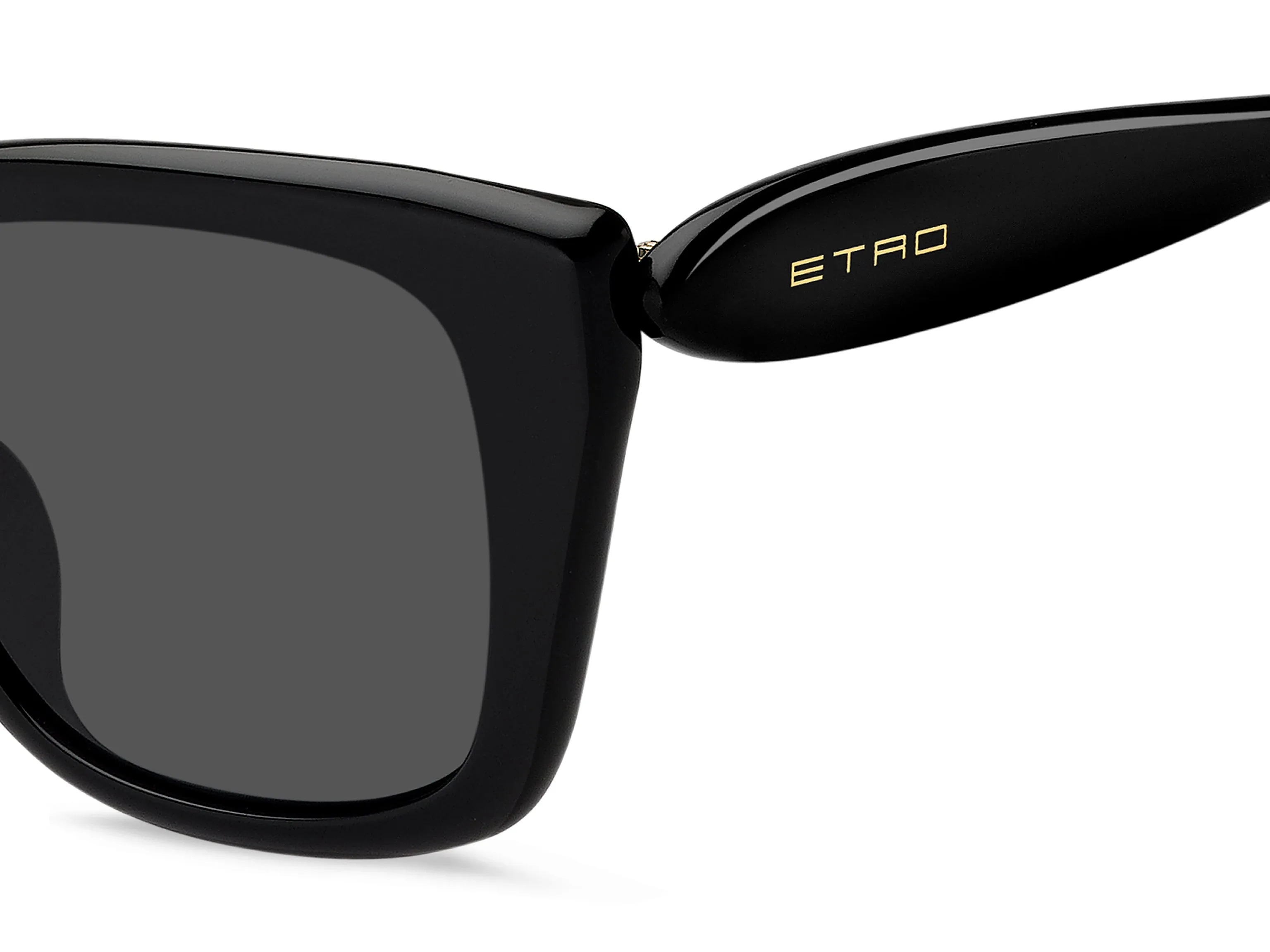 ETRO ETRO ETRO 0085/F/S 807/IR Occhiali da sole Grigio - immagine 3