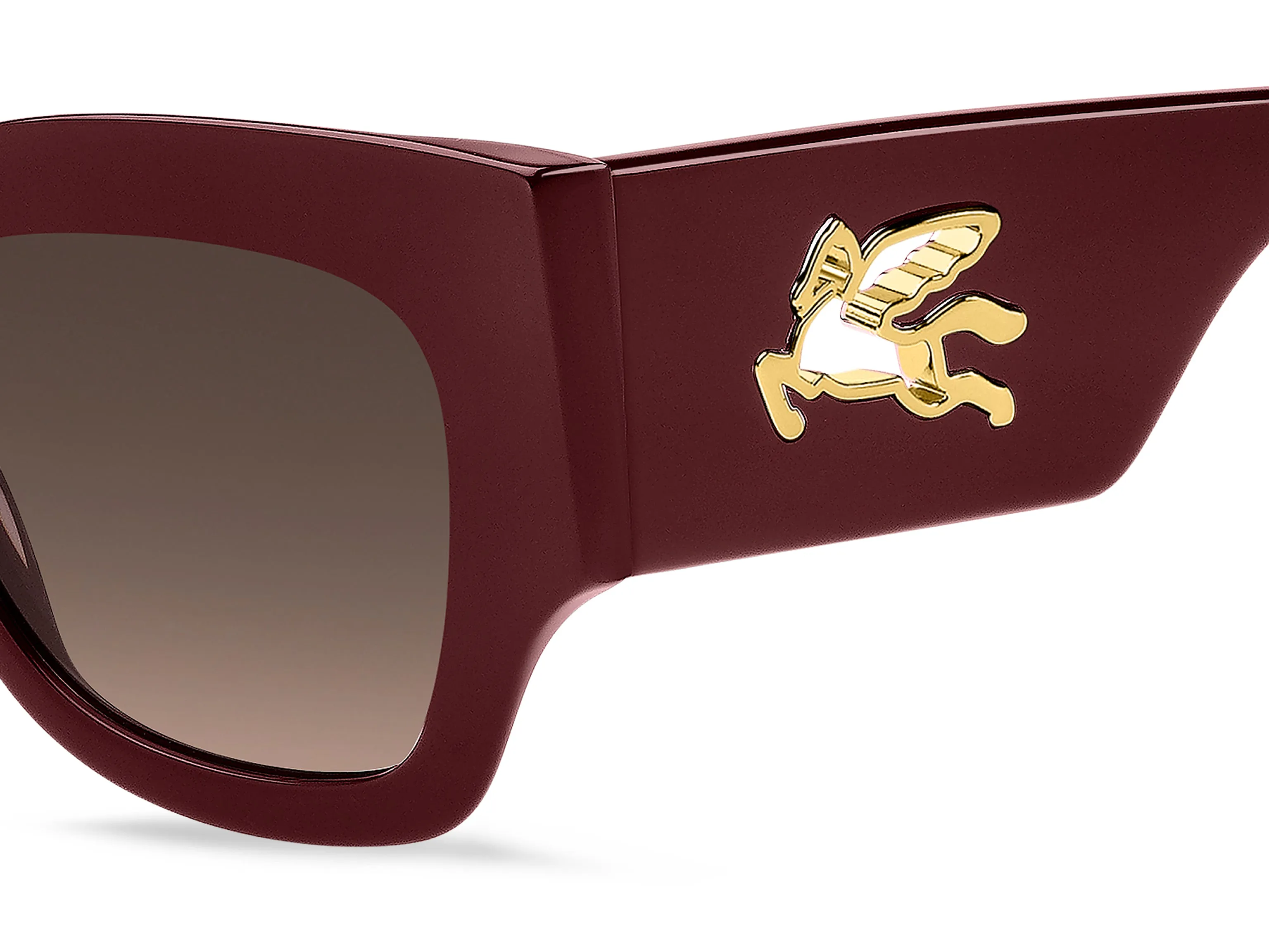 ETRO ETRO ETRO 0076/S LHF/HA Occhiali da sole Marrone Sfumato - immagine 3