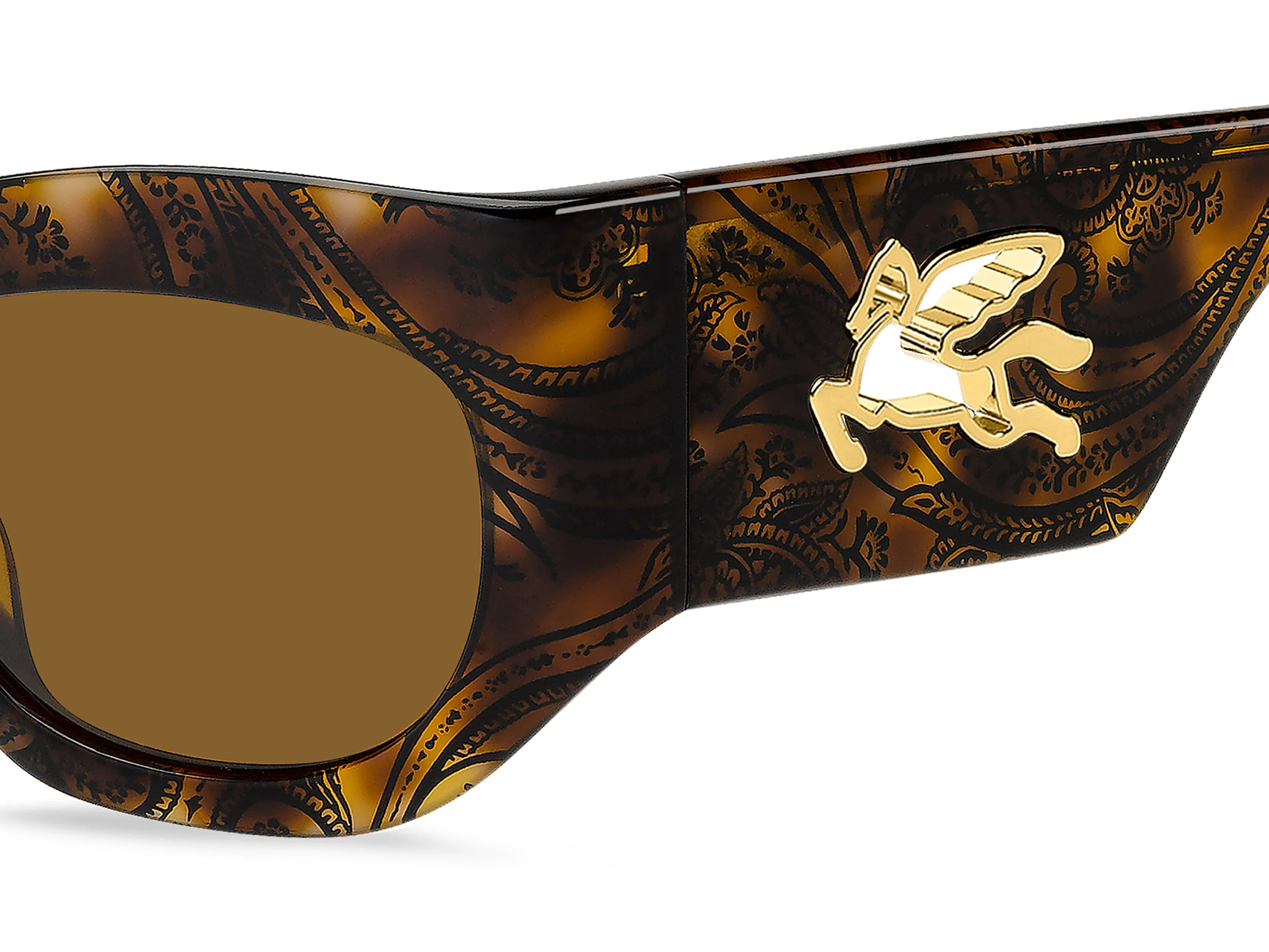 ETRO ETRO ETRO 0074/G/S H7P/70 Occhiali da sole Marrone - immagine 3