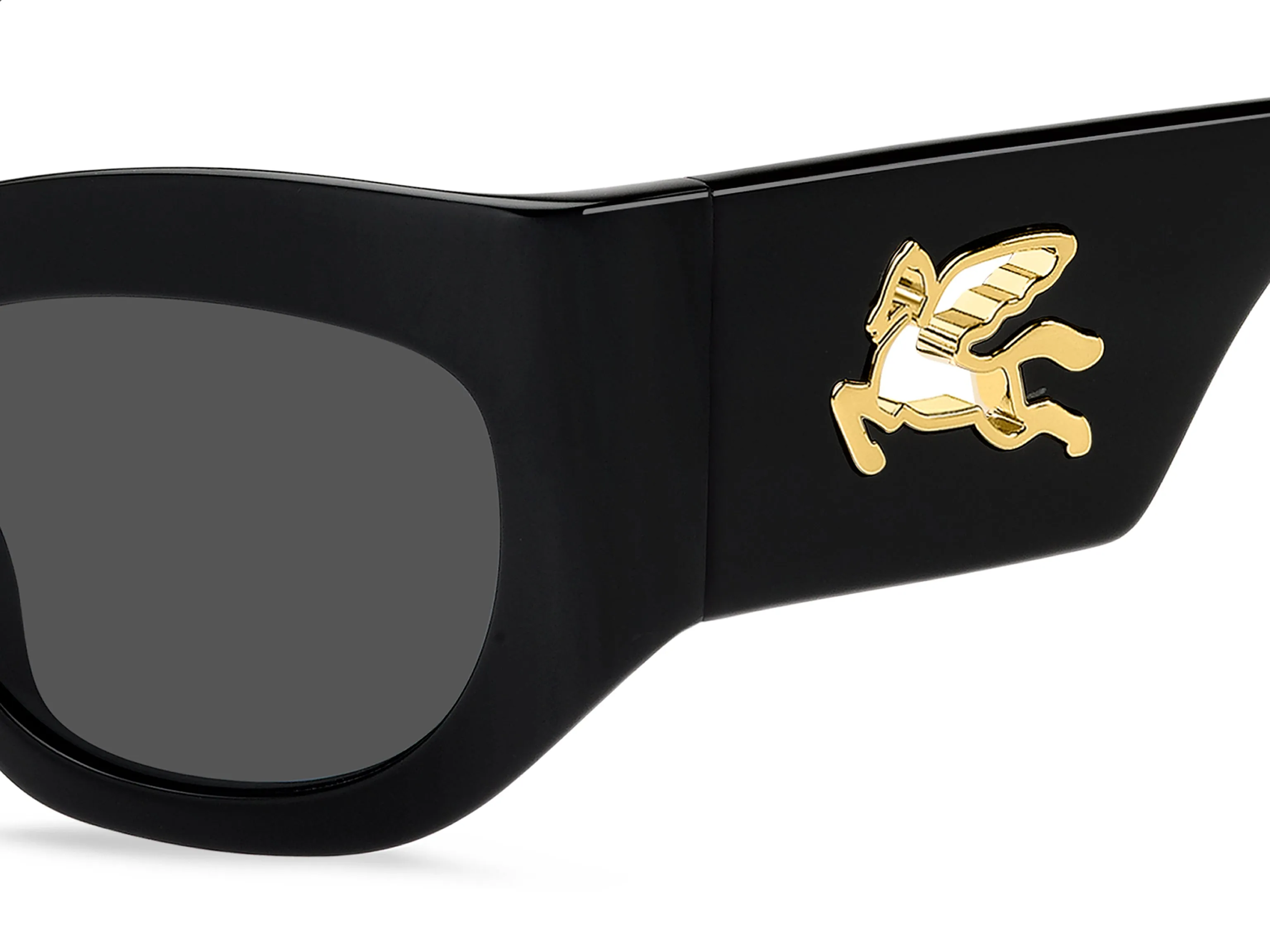 ETRO ETRO ETRO 0074/G/S 807/IR Occhiali da sole Grigio - immagine 3