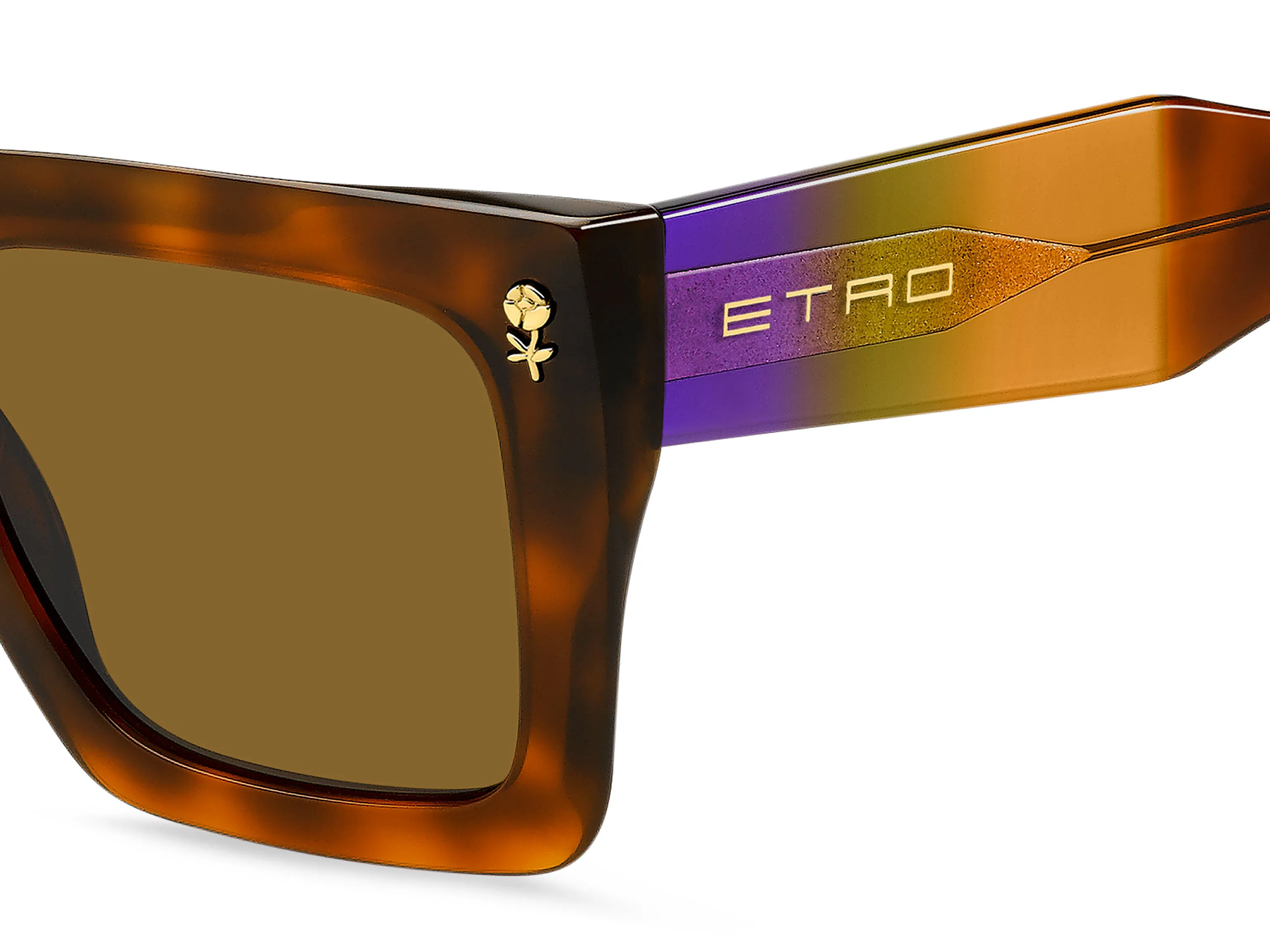 ETRO ETRO ETRO 0089/S C9B/70 Occhiali da sole Marrone - immagine 3