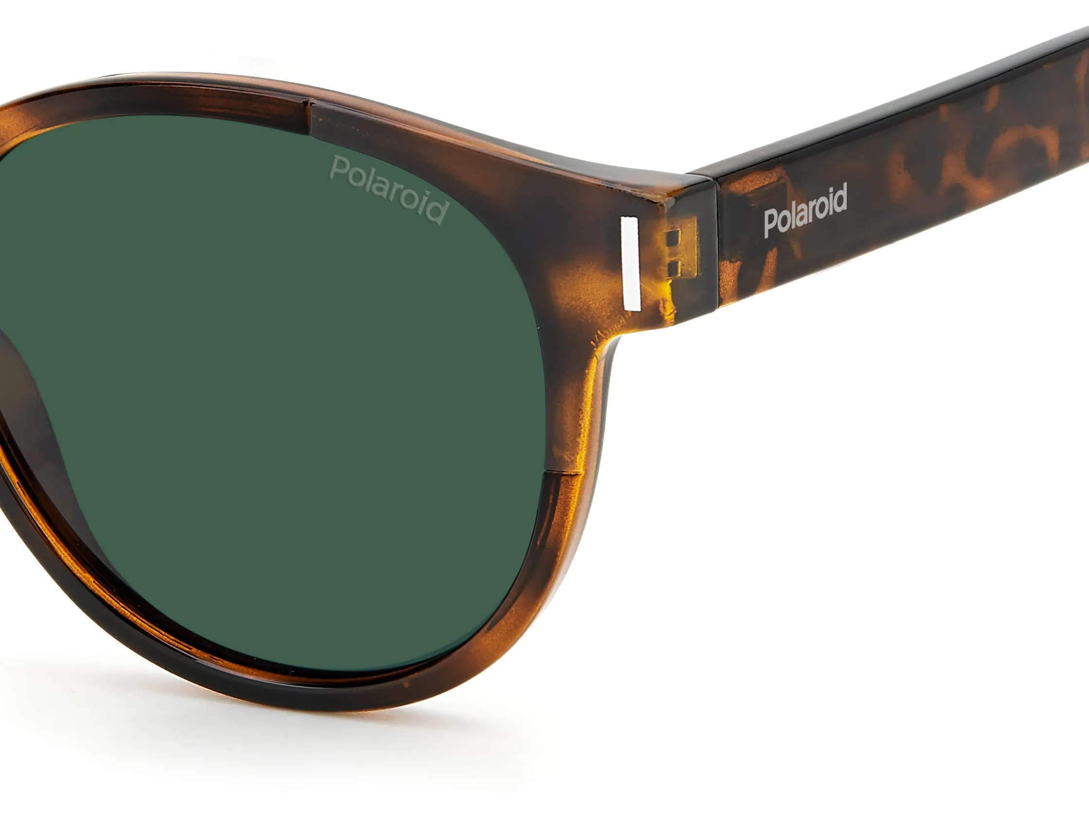 Polaroid PLD 6175/S 086/UC Occhiali da sole Plastica Havana Verde Rotonda - immagine 4