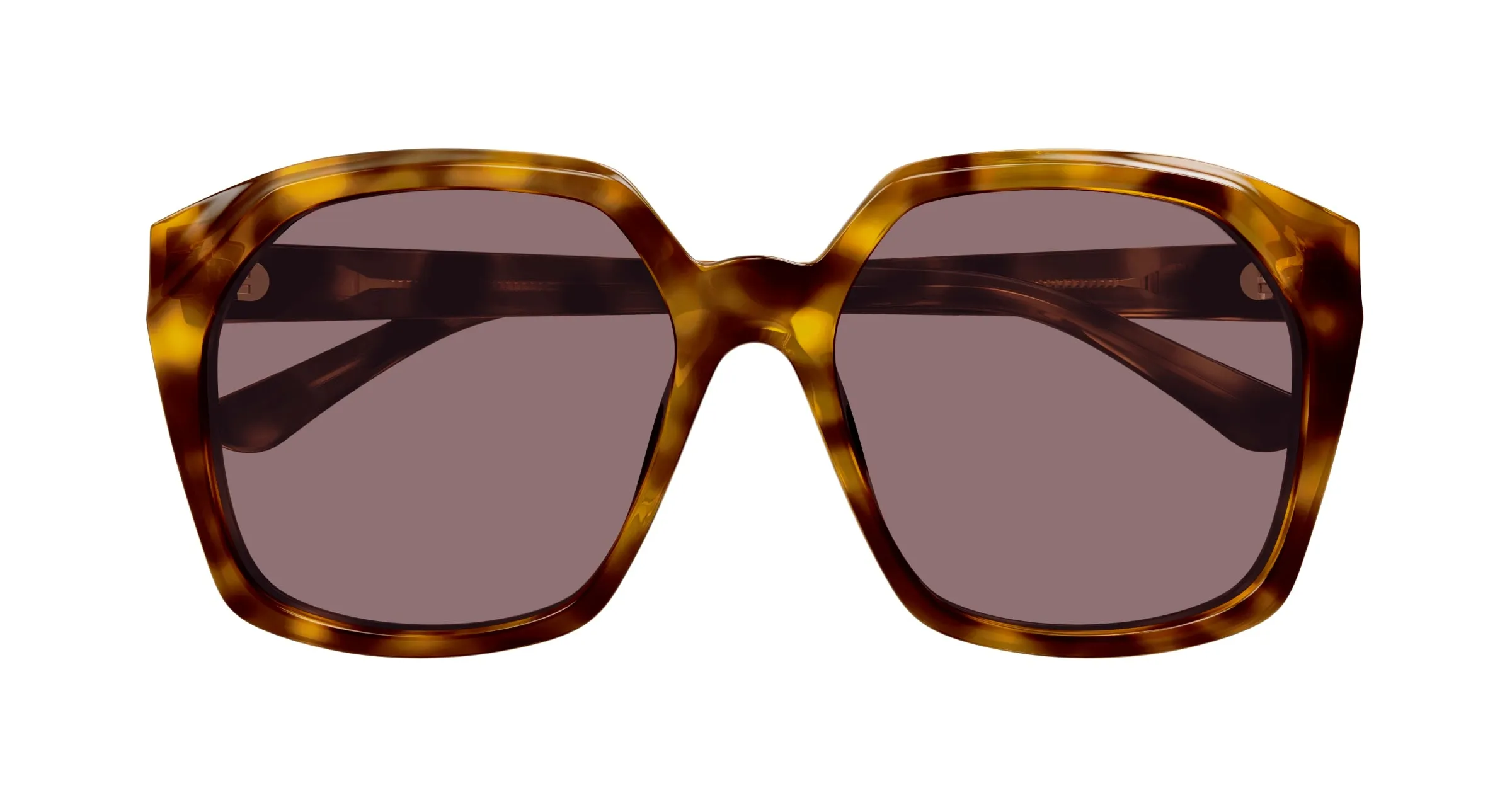 Chloé CH0280S 004 Occhiali da sole Acetato Havana Viola Squadrata - immagine 2