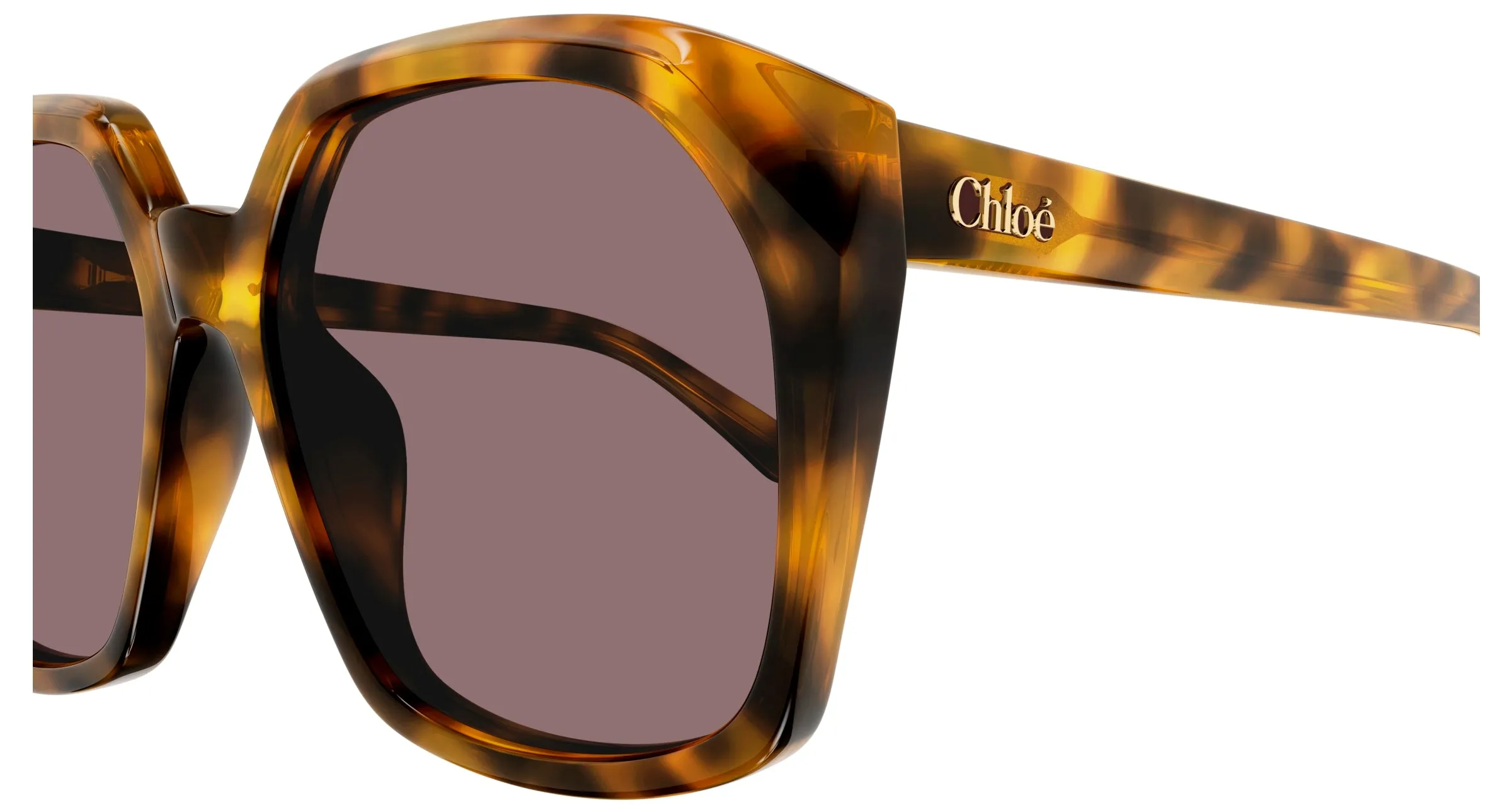 Chloé CH0280S 004 Occhiali da sole Acetato Havana Viola Squadrata - immagine 3