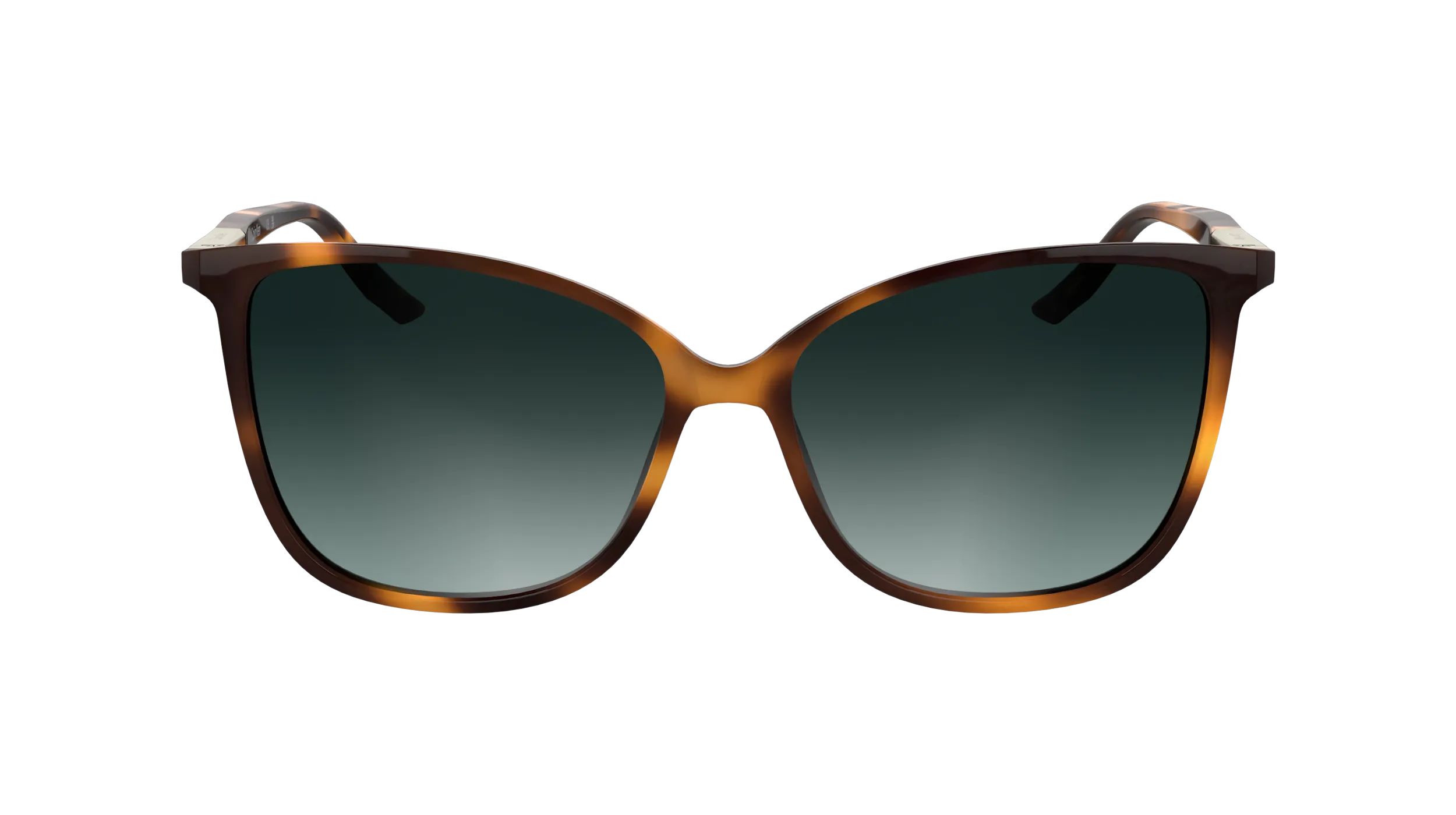 Calvin Klein CK25504S 240 Occhiali da sole Bio-iniettato Havana Farfalla Normale - immagine 2