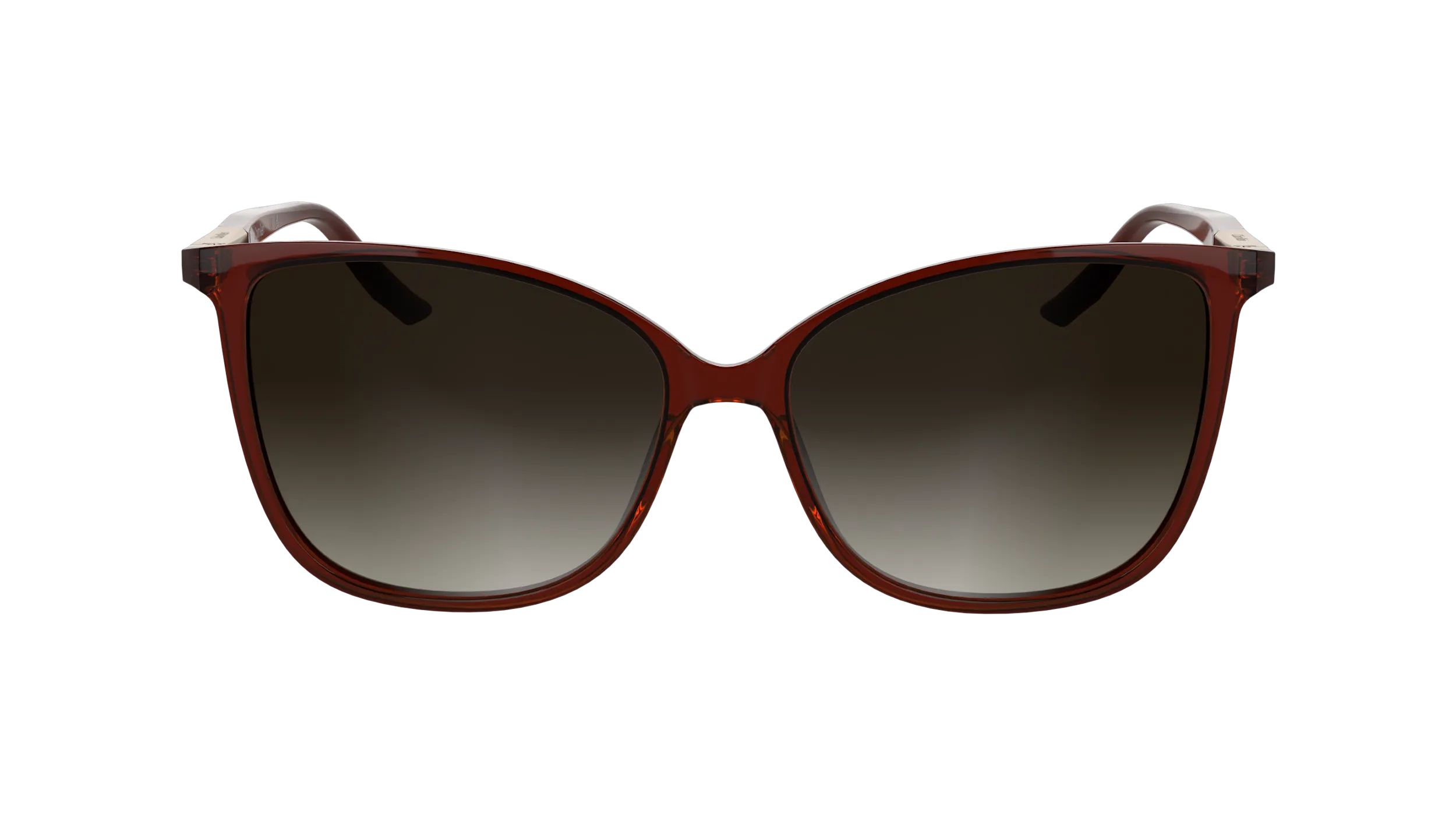 Calvin Klein CK25504S 605 Occhiali da sole Bio-iniettato Bordeaux Farfalla Normale - immagine 2