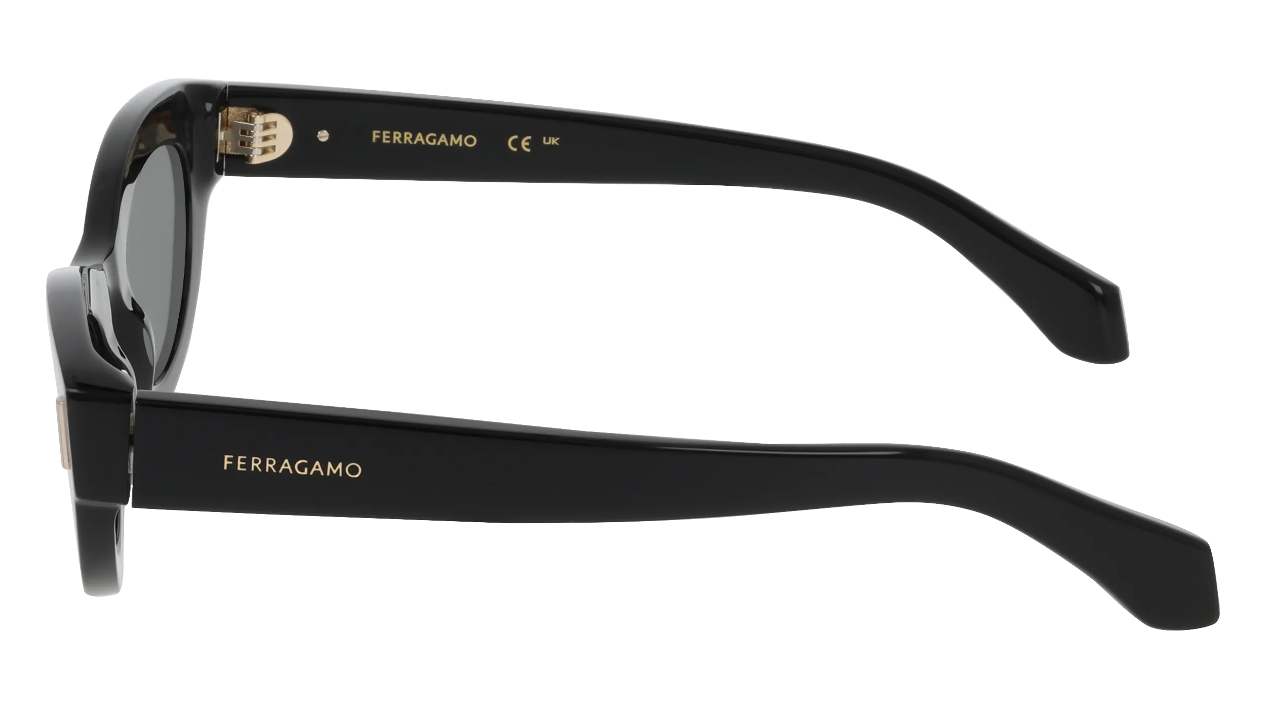 Ferragamo SF2062SE 001 Occhiali da sole Acetato Nero Cat Eye Normale - immagine 3