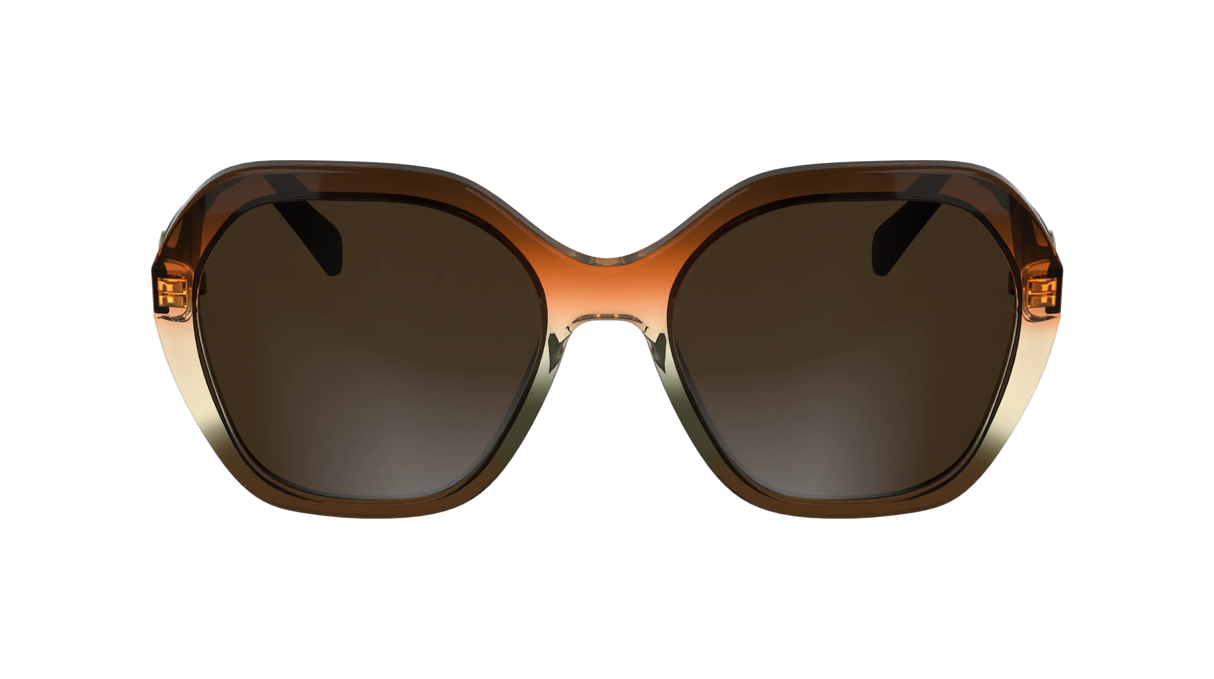 LONGCHAMP LO759S 209 Occhiali da sole Acetato Squadrata Normale - immagine 2