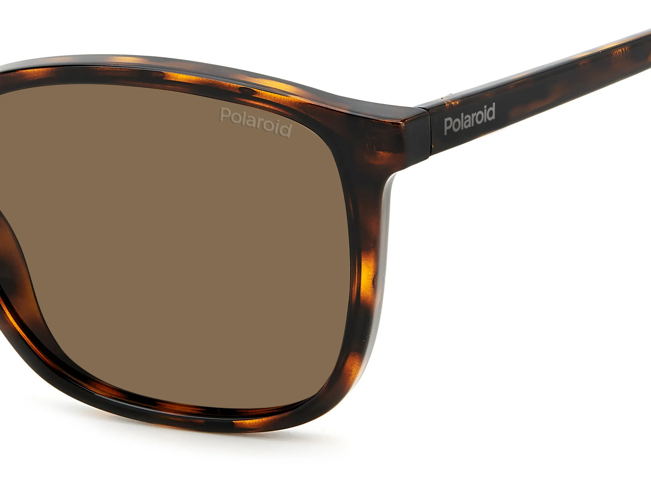 Polaroid PLD 4139/S 086/SP Occhiali da sole Plastica Havana Marrone Squadrata Polarizzata - immagine 4
