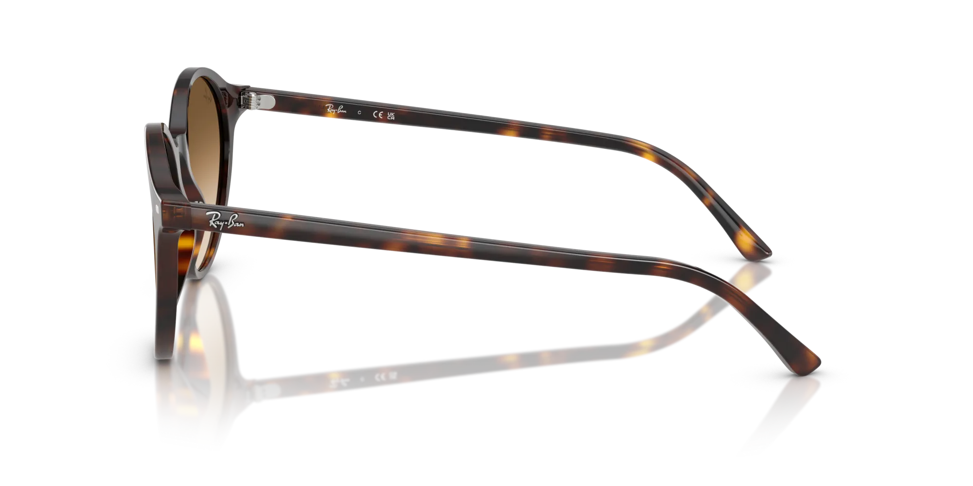 Ray - Ban RB2230 BERNARD 902/51 Occhiali da sole Acetato Tartaruga Marrone Pantos Normale Sfumato - immagine 4