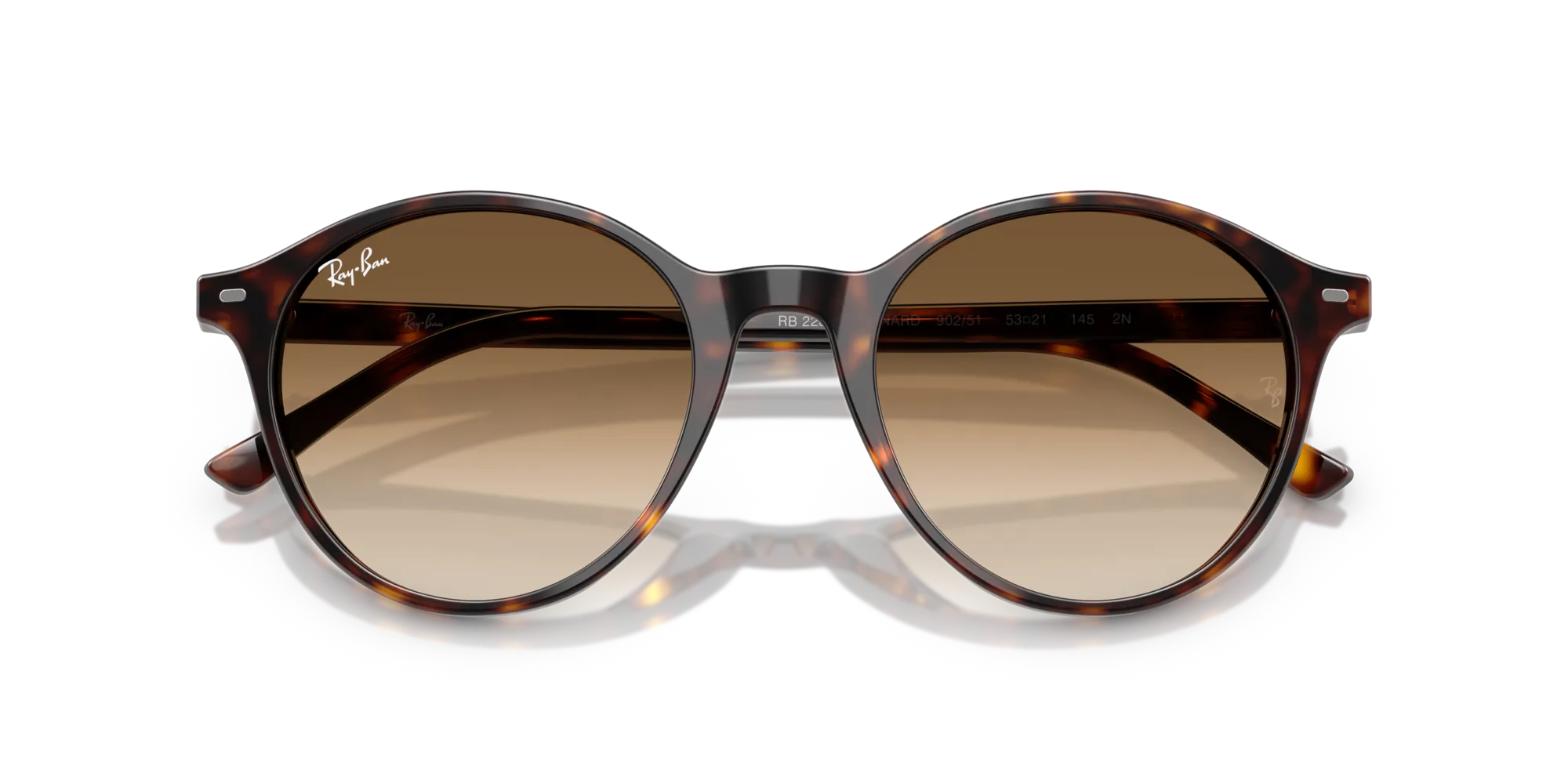Ray - Ban RB2230 BERNARD 902/51 Occhiali da sole Acetato Tartaruga Marrone Pantos Normale Sfumato - immagine 2