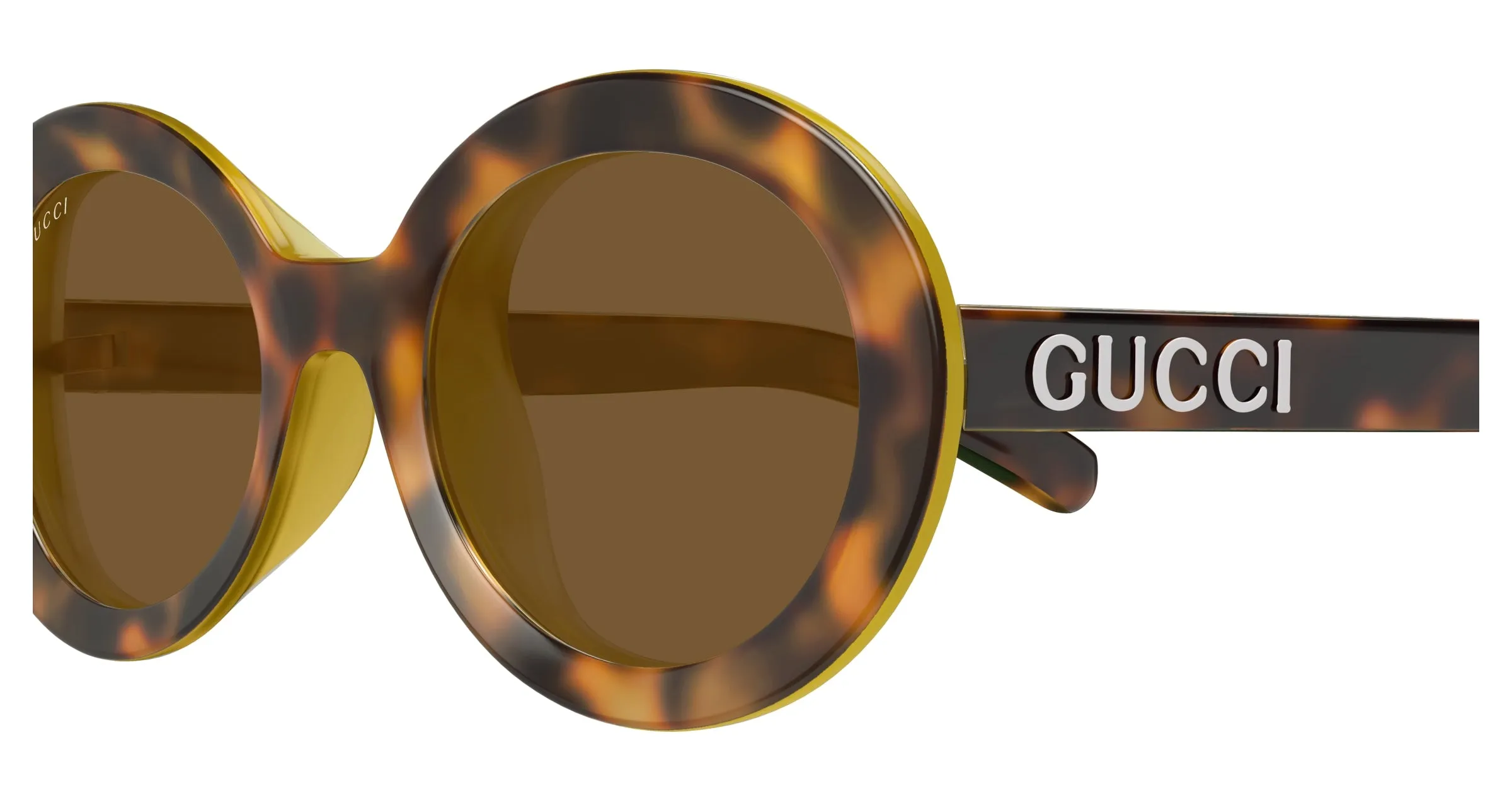 Gucci GG1722SA 002 Occhiali da sole Iniettato Havana Marrone Rotonda - immagine 3