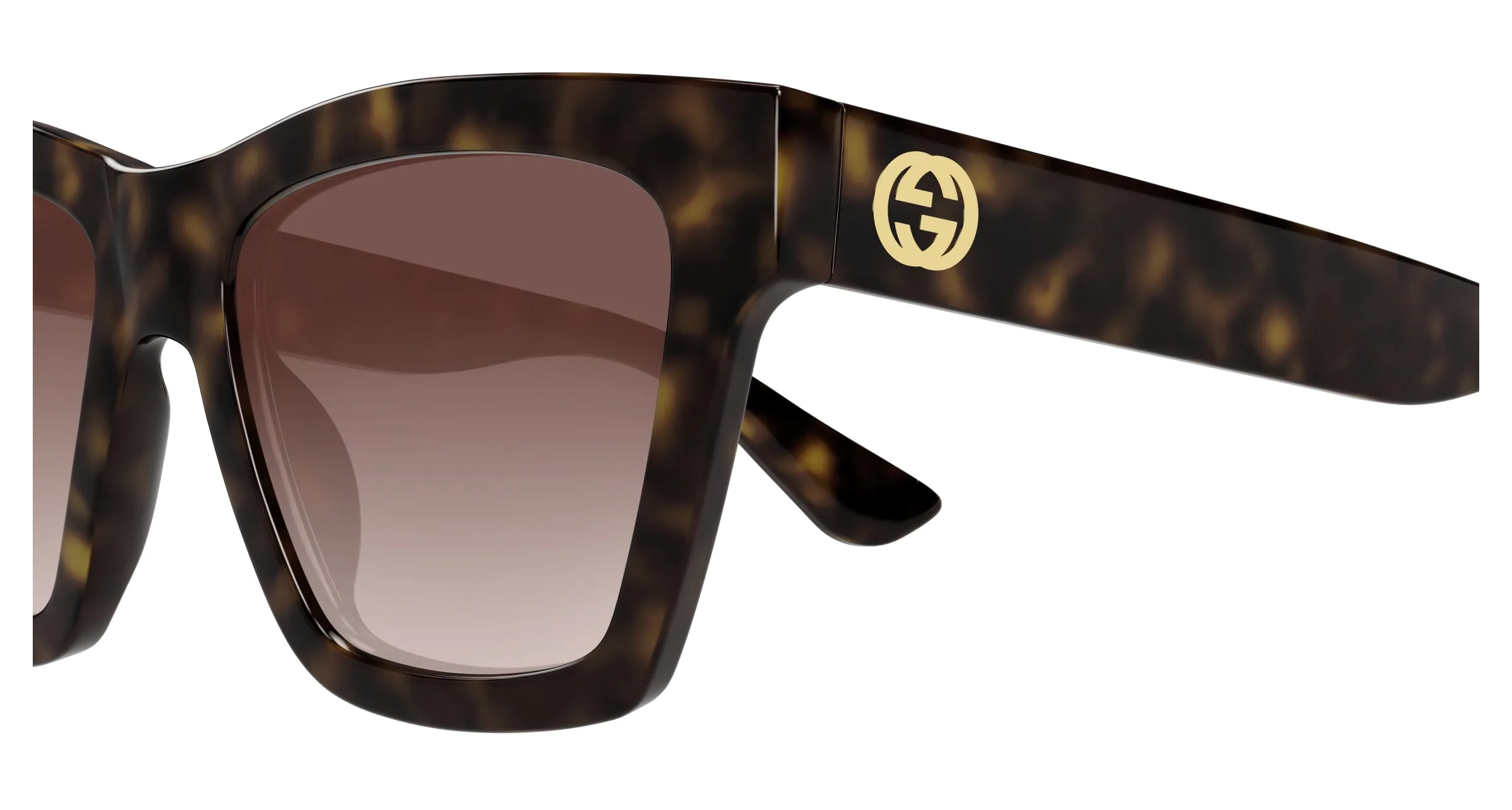 Gucci GG1714S 002 Occhiali da sole Iniettato Havana Marrone Cat Eye - immagine 3