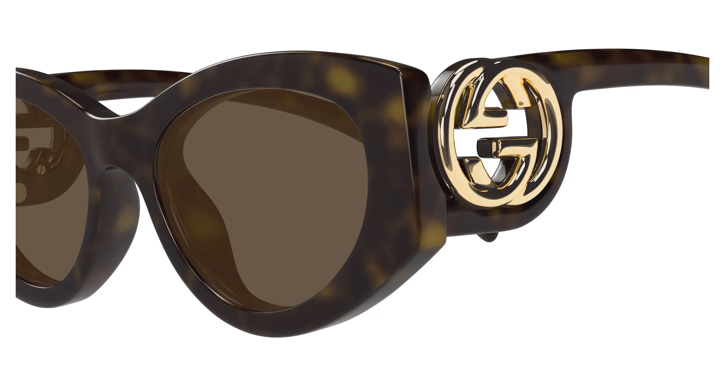 Gucci GG1691S 002 Occhiali da sole Iniettato Havana Marrone Cat Eye - immagine 3