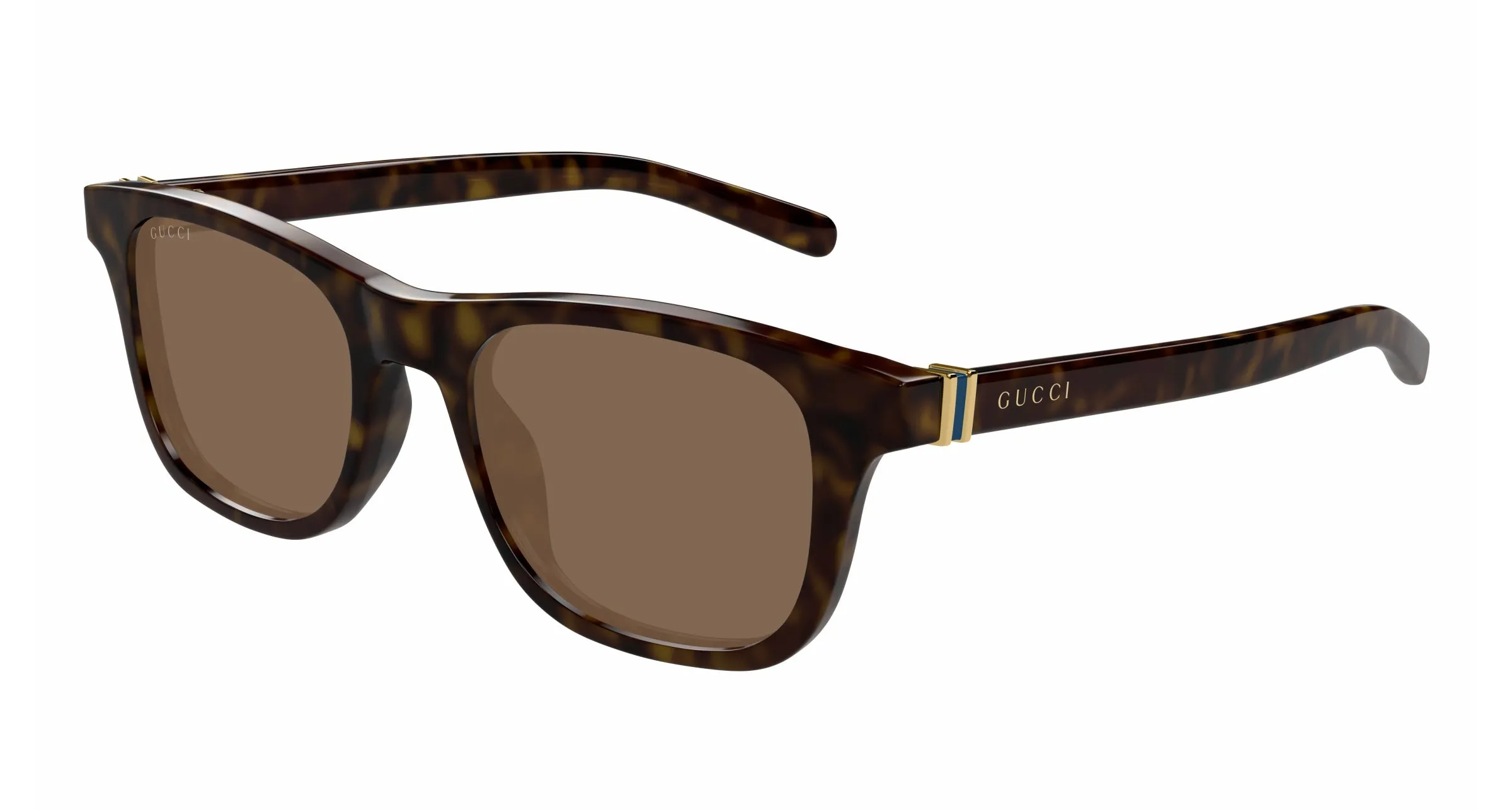 Gucci Uomo GG1671S 006 Occhiali da sole Acetato Havana Marrone Rotonda - immagine 1