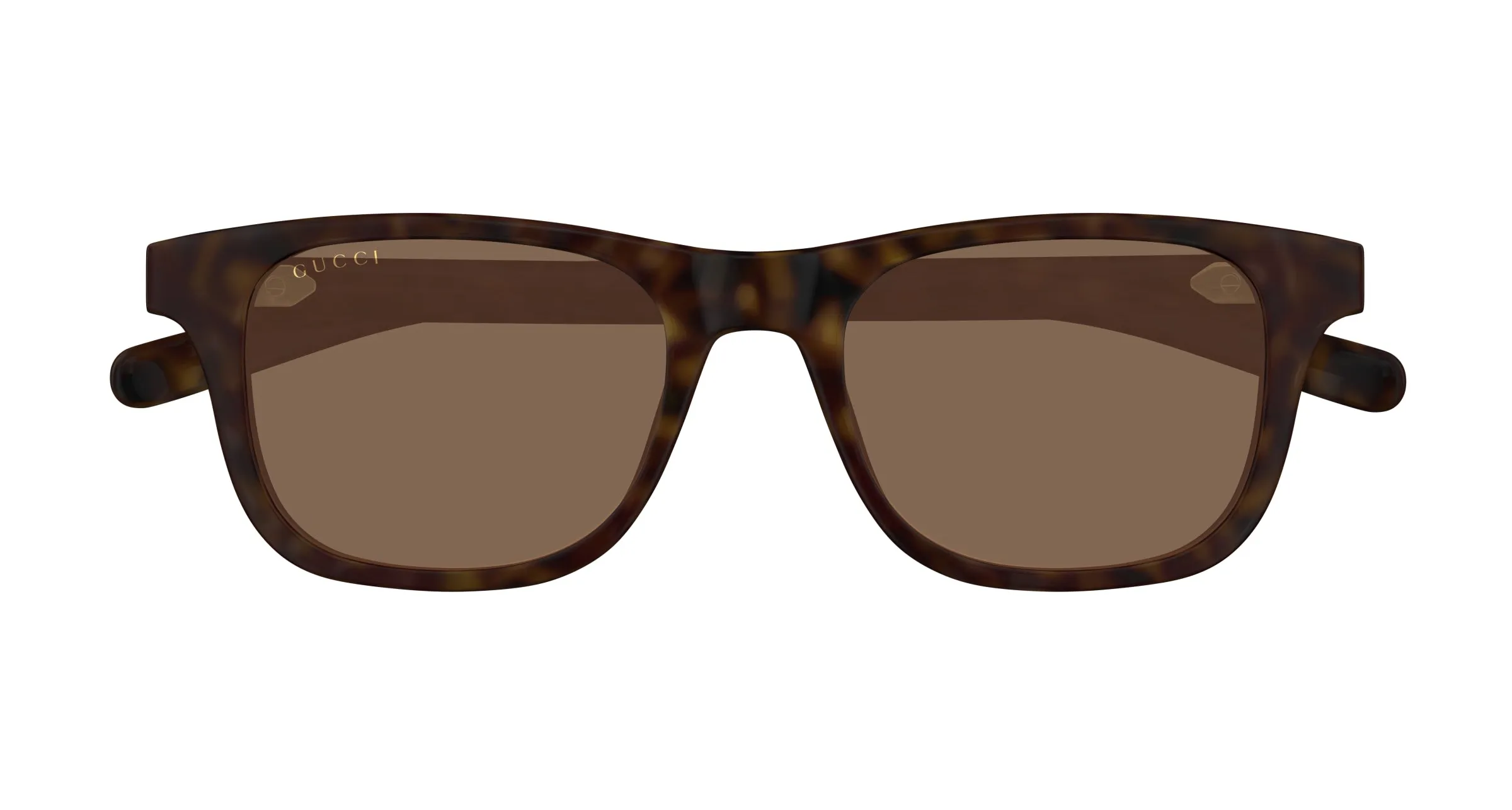 Gucci Uomo GG1671S 006 Occhiali da sole Acetato Havana Marrone Rotonda - immagine 2