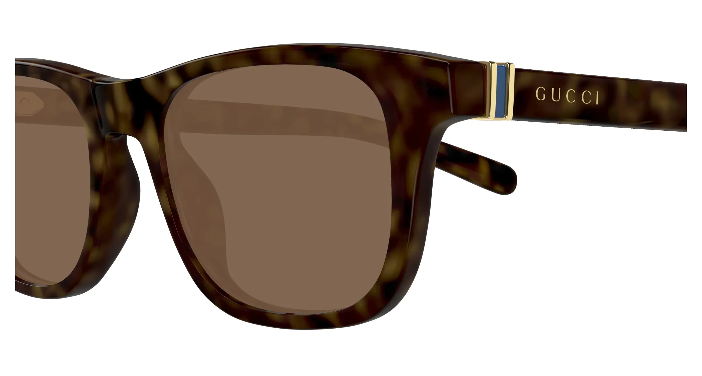 Gucci Uomo GG1671S 006 Occhiali da sole Acetato Havana Marrone Rotonda - immagine 3