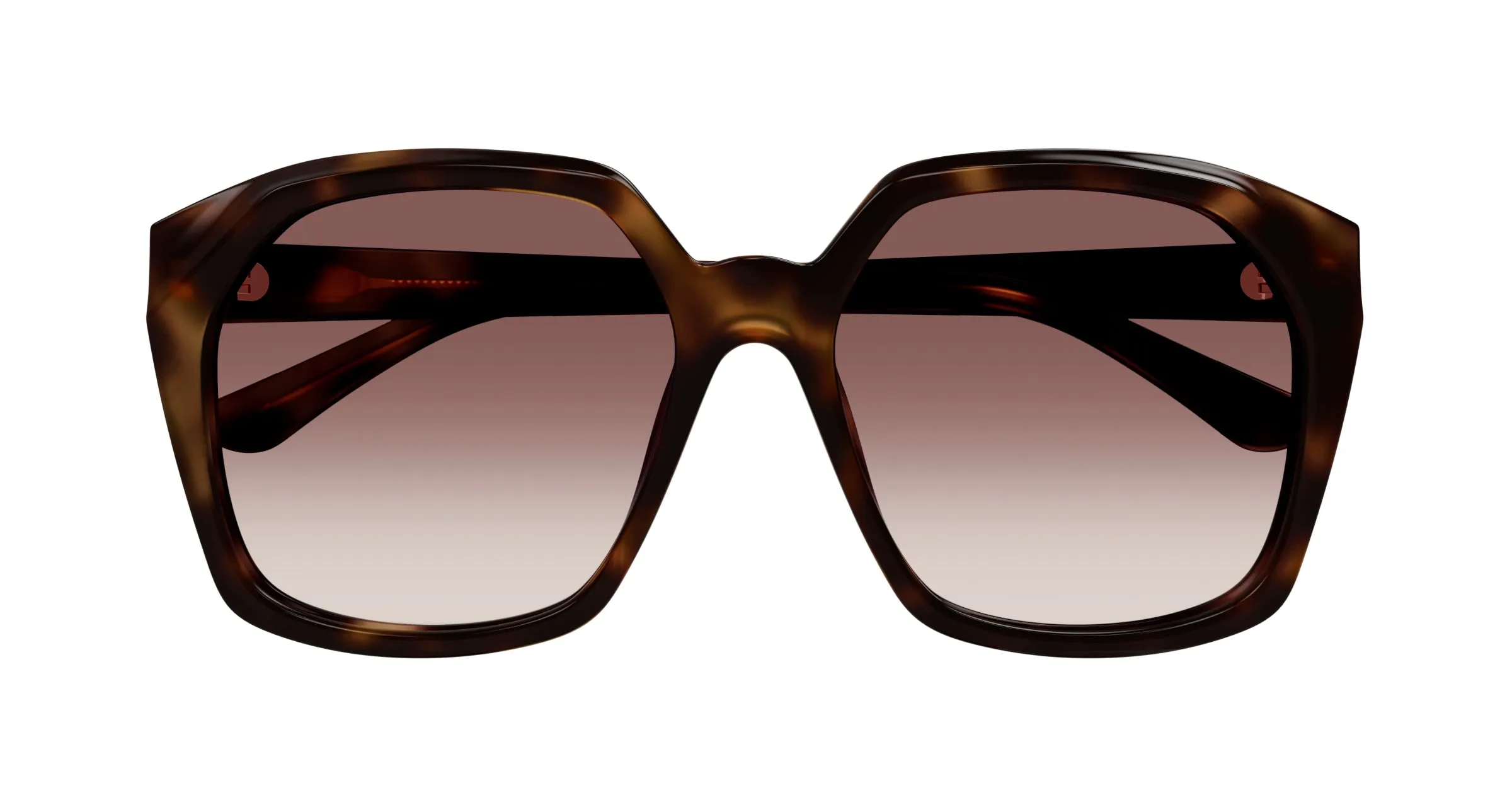 Chloé CH0280S 006 Occhiali da sole Acetato Havana Rosso Squadrata - immagine 2