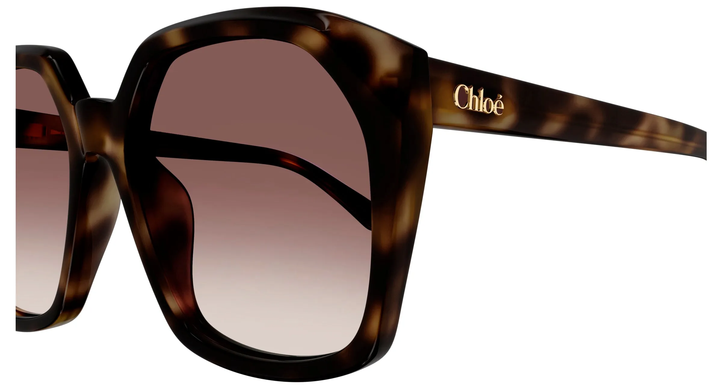Chloé CH0280S 006 Occhiali da sole Acetato Havana Rosso Squadrata - immagine 3