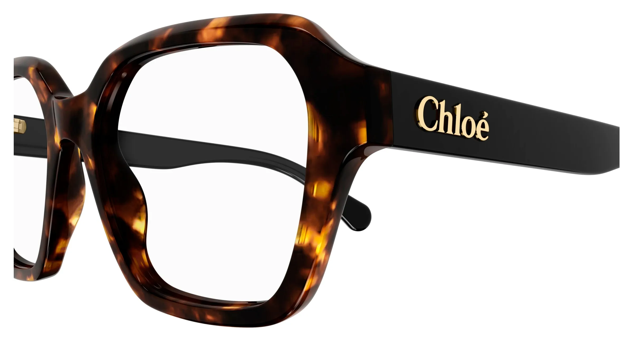 Chloé CH0272O 002 Montature da vista Acetato Havana Trasparente Squadrata - immagine 3