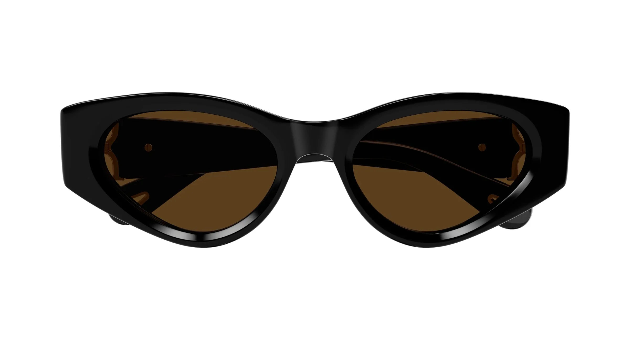 Chloé CH0259S 001 Occhiali da sole Acetato Nero Marrone Cat Eye - immagine 2