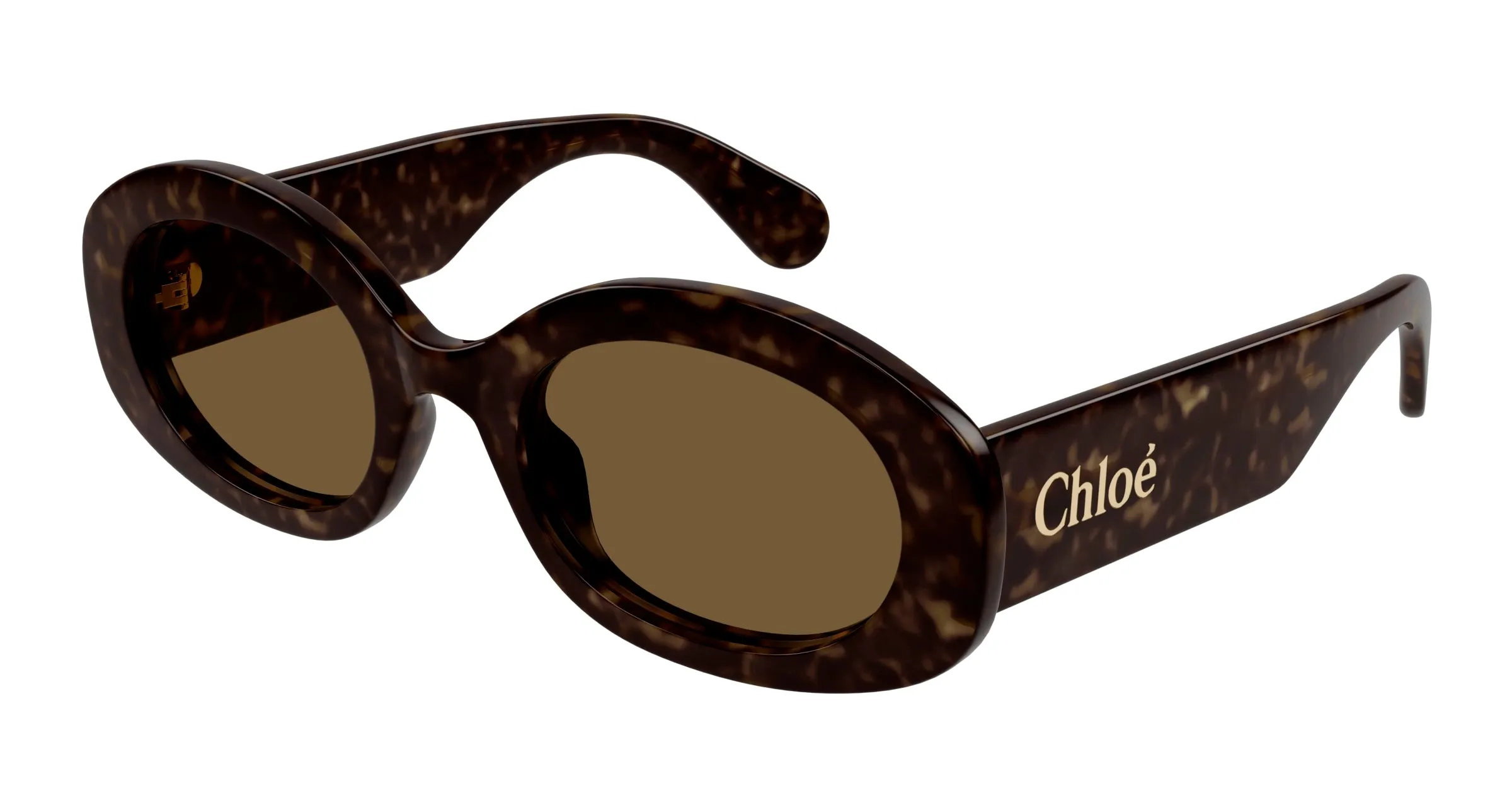Chloé CH0258S 002 Occhiali da sole Acetato Havana Marrone Rotonda - immagine 1