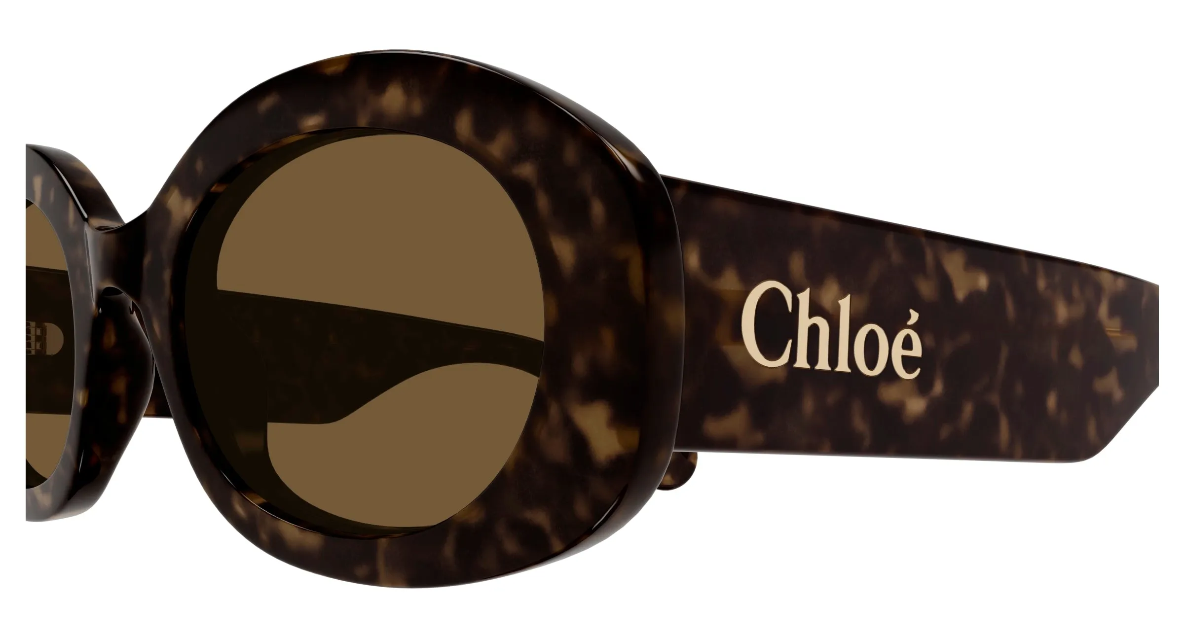 Chloé CH0258S 002 Occhiali da sole Acetato Havana Marrone Rotonda - immagine 3