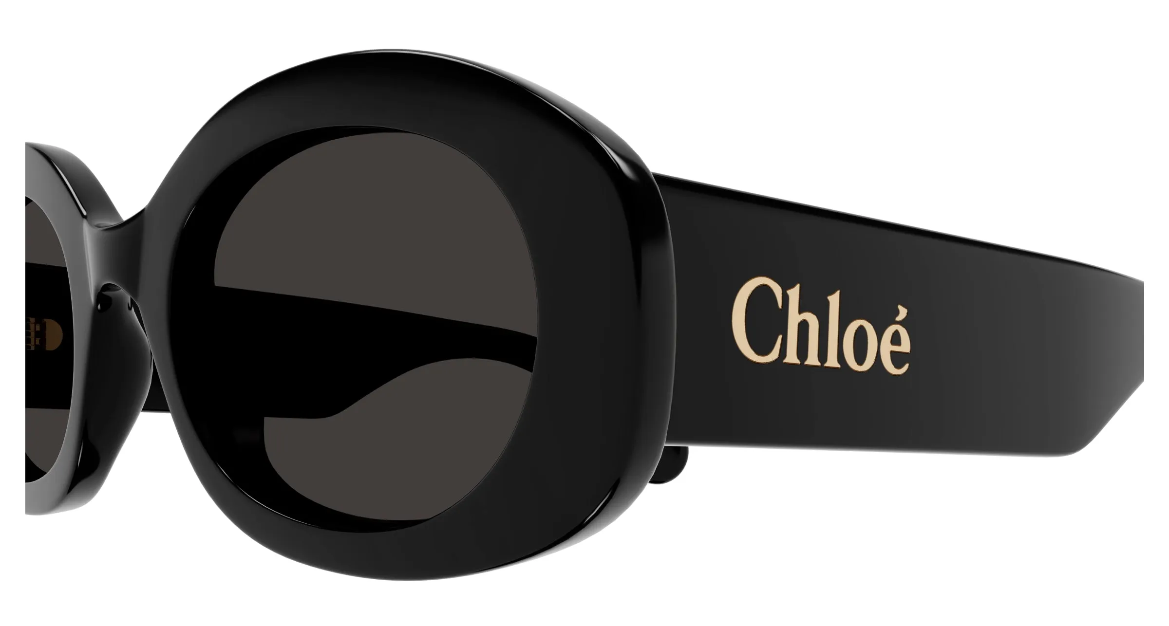 Chloé CH0258S 001 Occhiali da sole Acetato Nero Grigio Rotonda - immagine 3