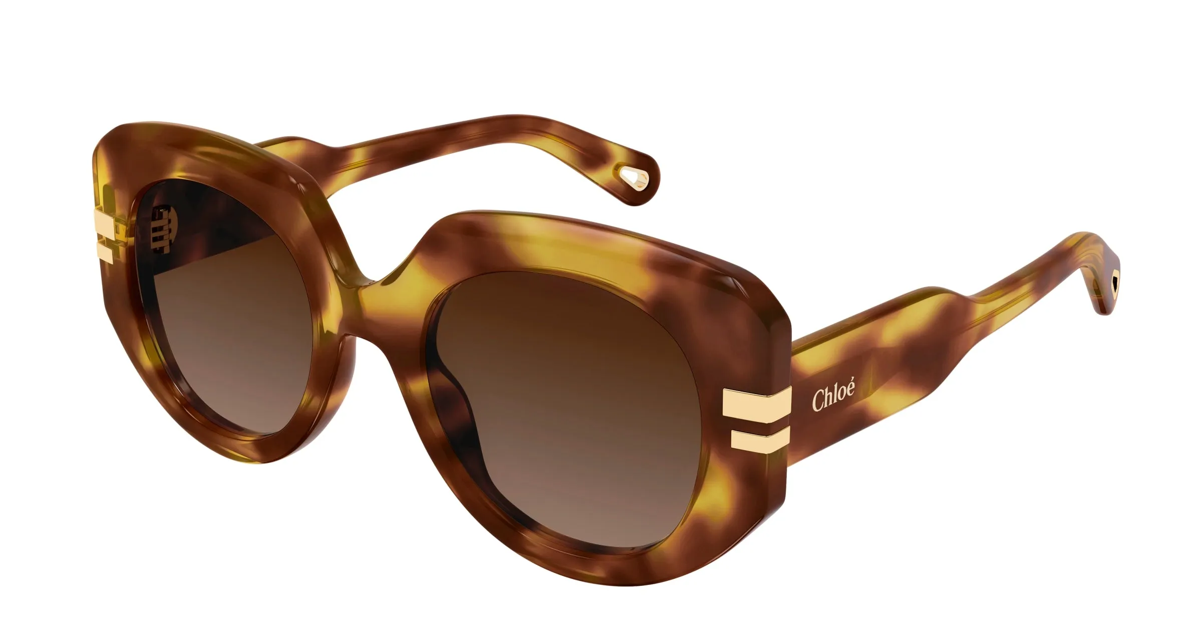 Chloé CH0257S 002 Occhiali da sole Acetato Havana Marrone Squadrata - immagine 1