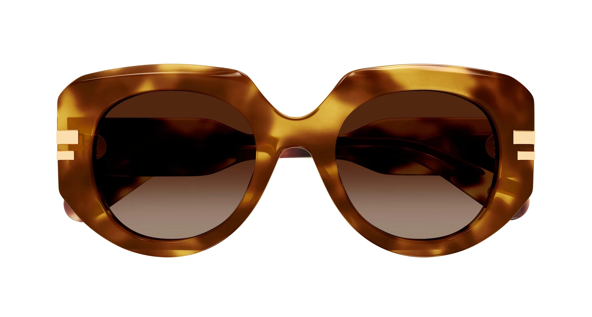 Chloé CH0257S 002 Occhiali da sole Acetato Havana Marrone Squadrata - immagine 2
