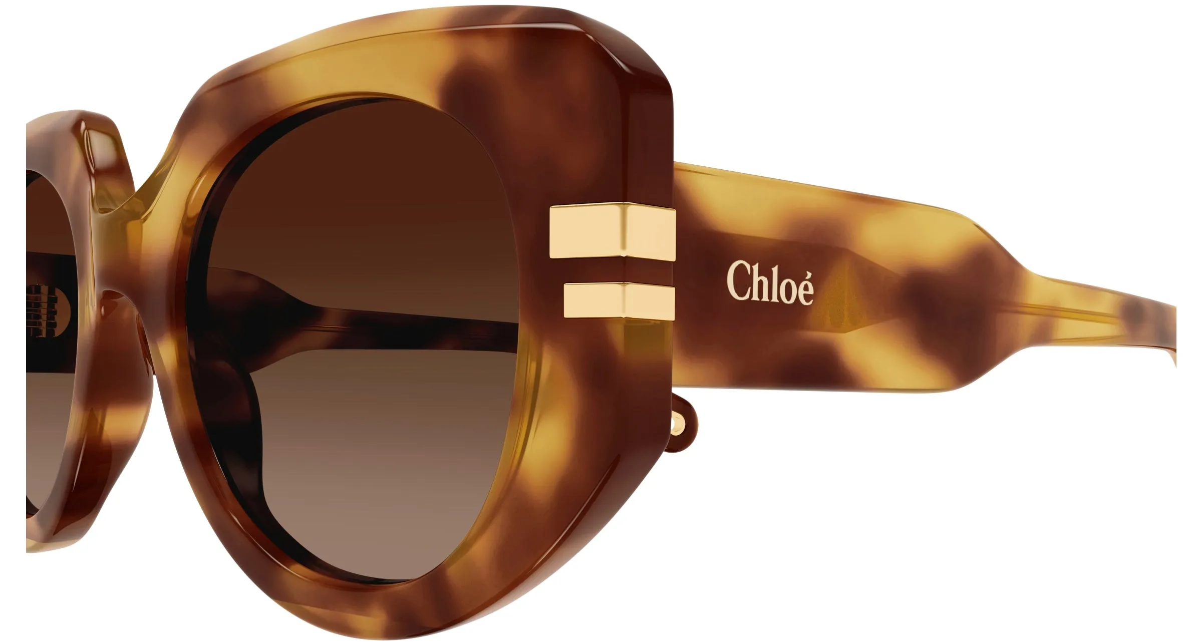 Chloé CH0257S 002 Occhiali da sole Acetato Havana Marrone Squadrata - immagine 3