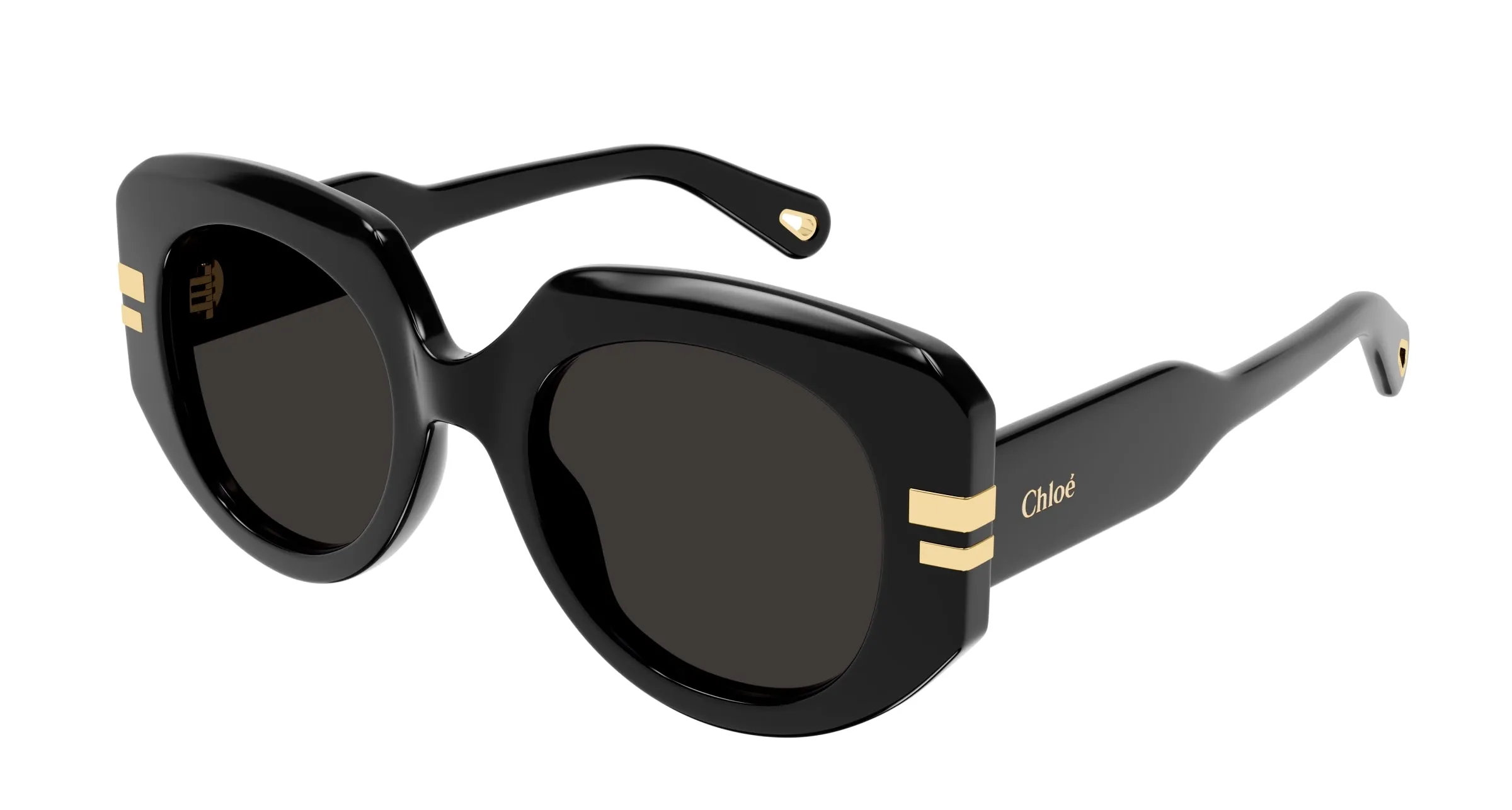 Chloé CH0257S 001 Occhiali da sole Acetato Nero Grigio Squadrata - immagine 1