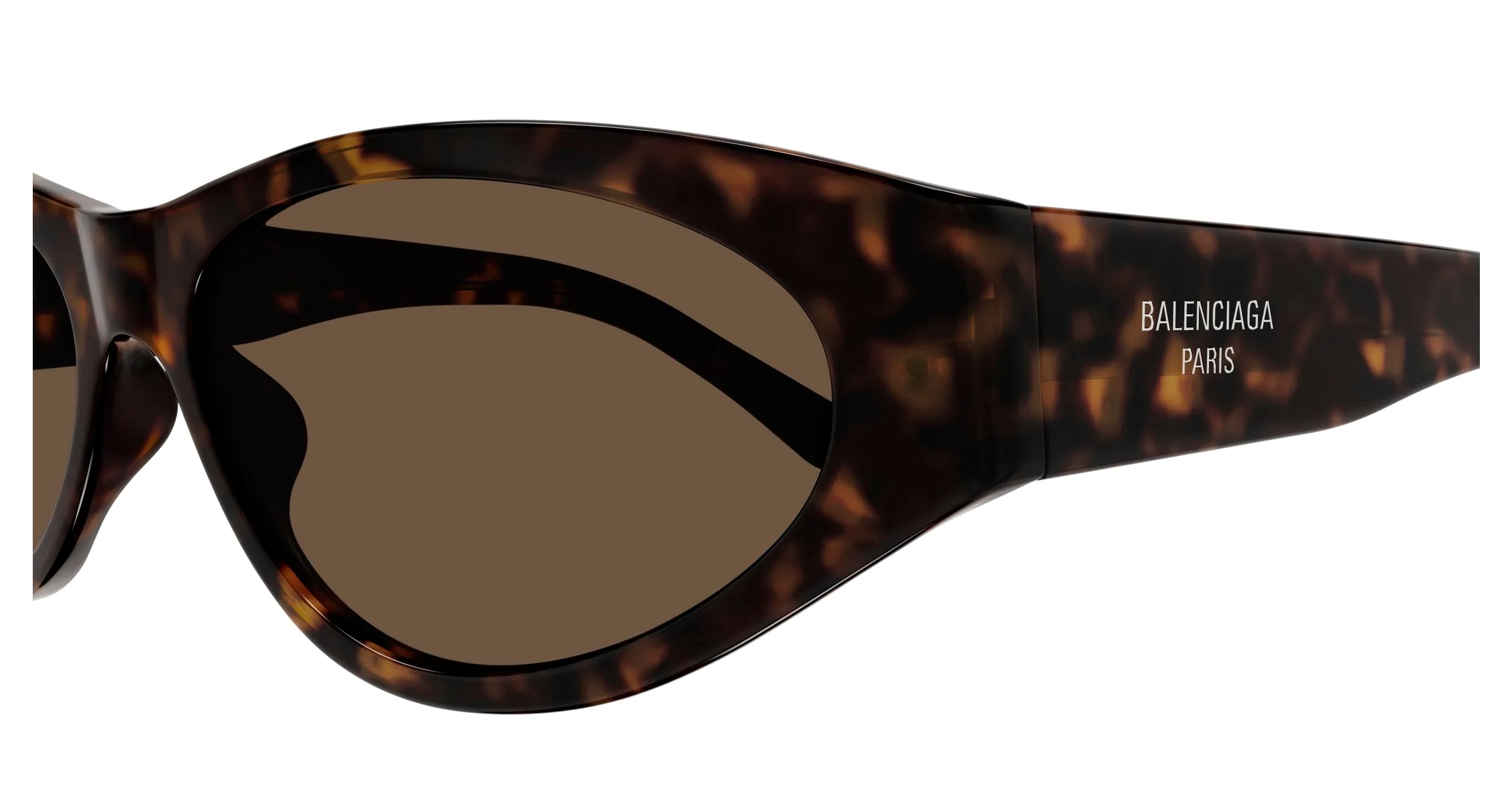 Balenciaga BB0367S 002 Occhiali da sole Acetato Havana Marrone Rotonda - immagine 3