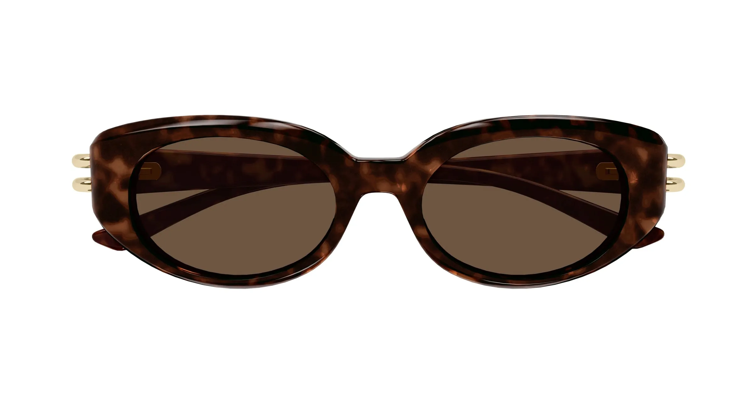 Alexander McQueen AM0469S 002 Occhiali da sole Acetato Havana Marrone Rotonda - immagine 2