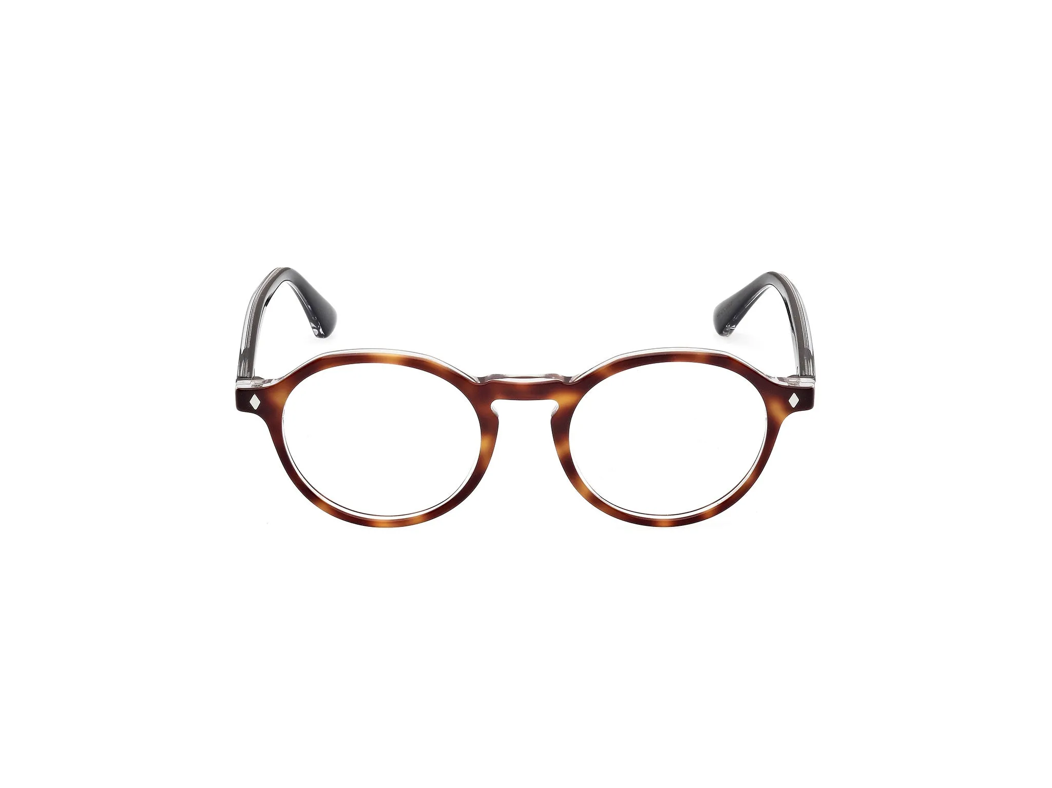 Web WE5440 56 Montature da vista Acetato Havana Rotonda Normale - immagine 2