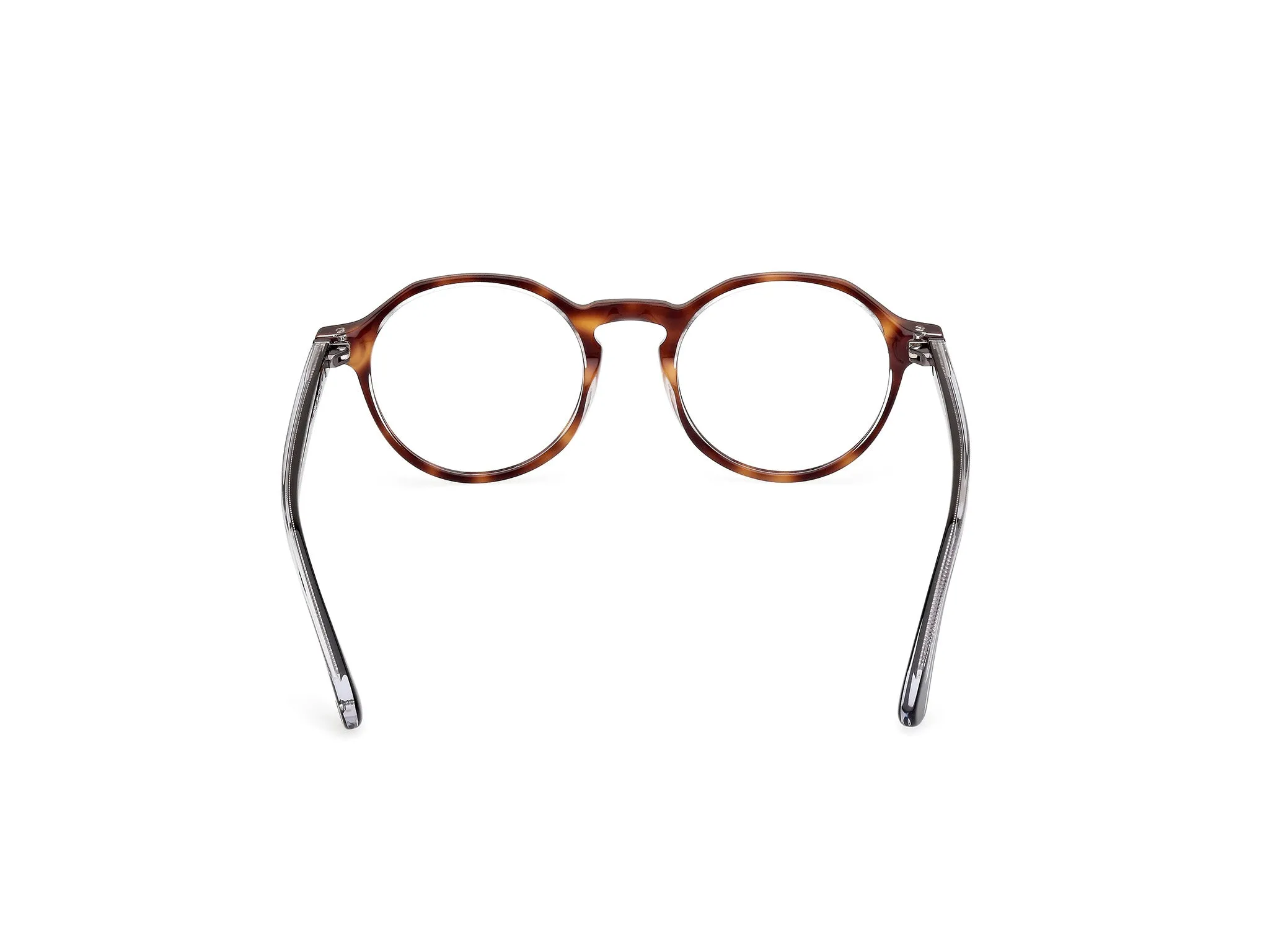 Web WE5440 56 Montature da vista Acetato Havana Rotonda Normale - immagine 4