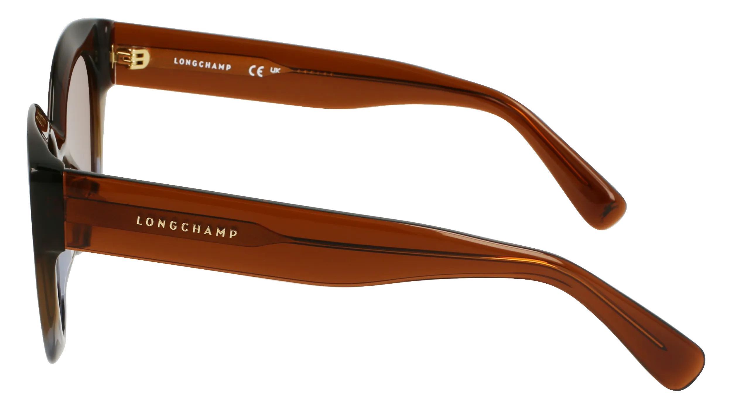 LONGCHAMP LO750S 208 Occhiali da sole Acetato Marrone Rotonda Normale - immagine 3